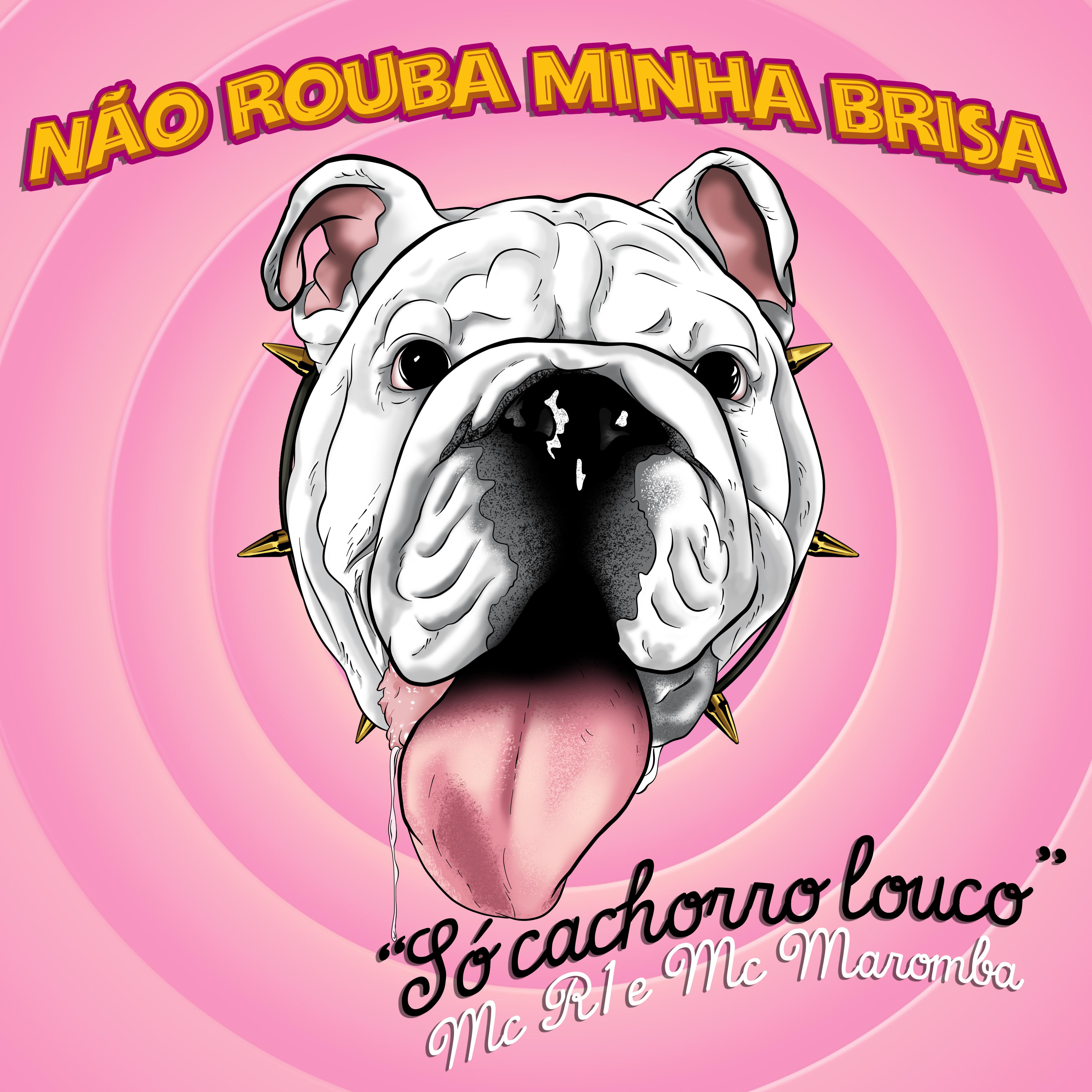 N o Rouba Minha Brisa: So Cachorro Louco