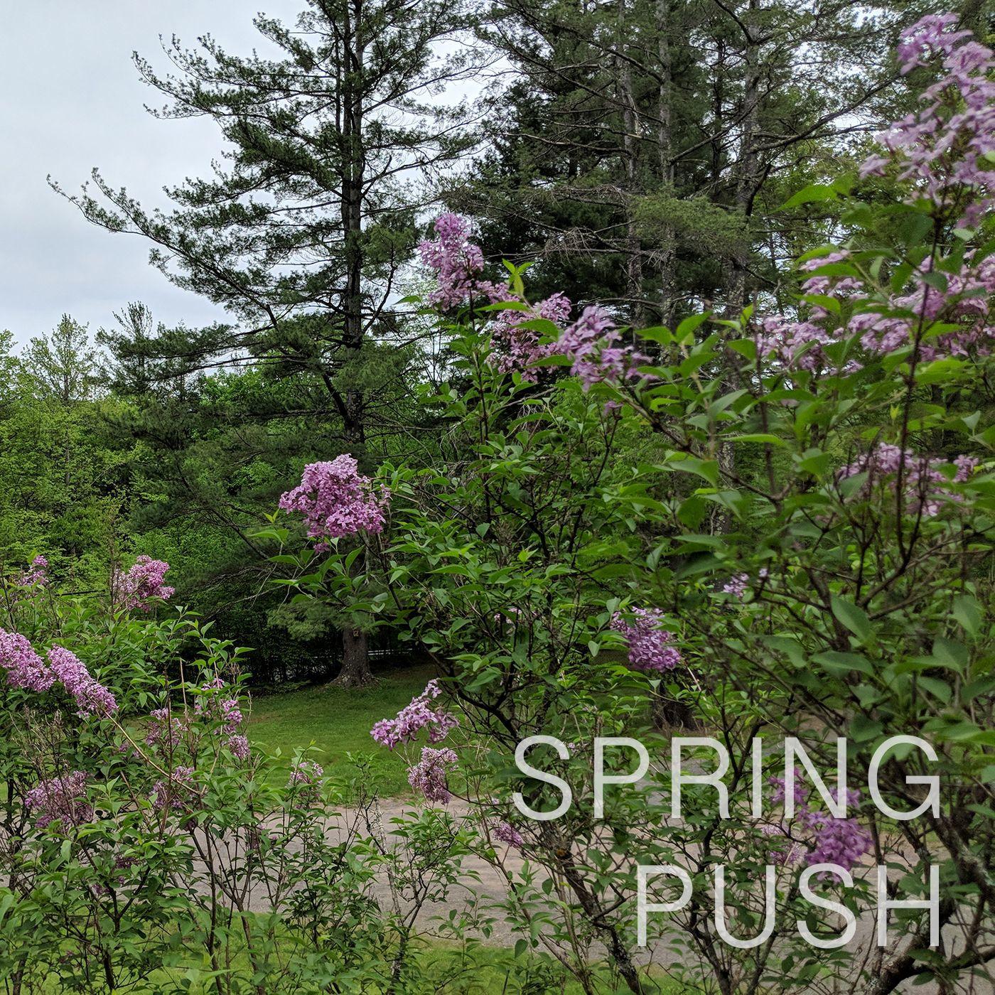 Spring Push