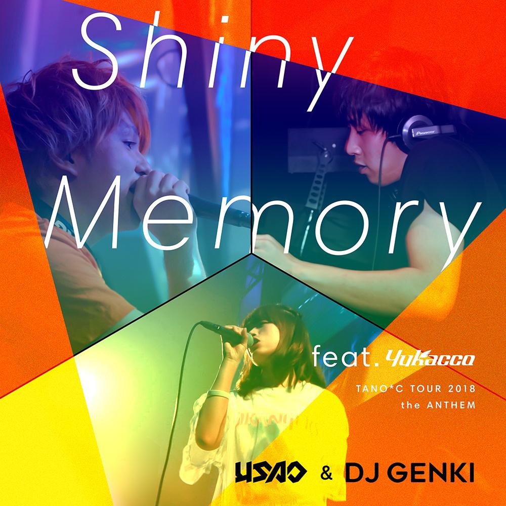Shiny Memory