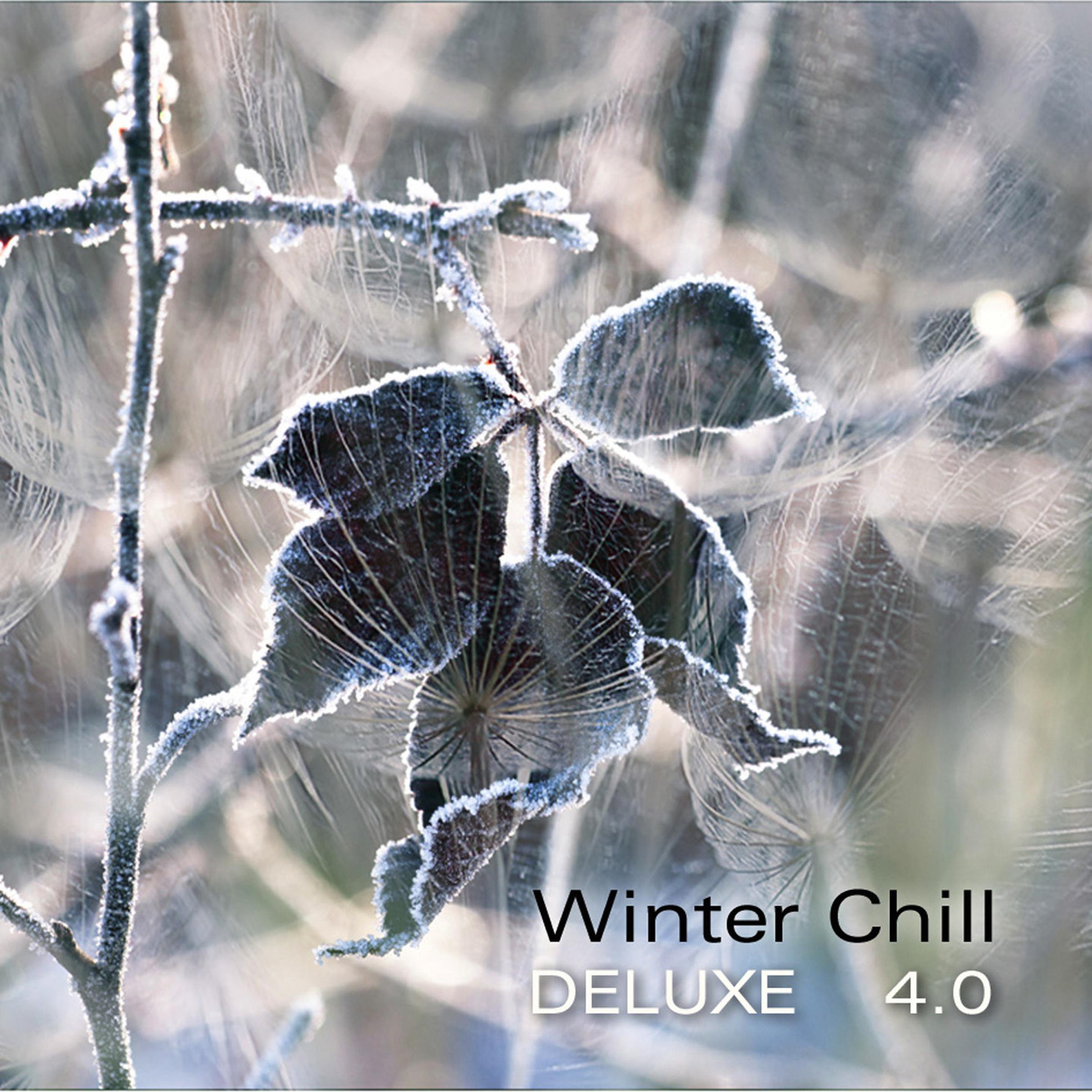 Winter Chill Deluxe 4.0