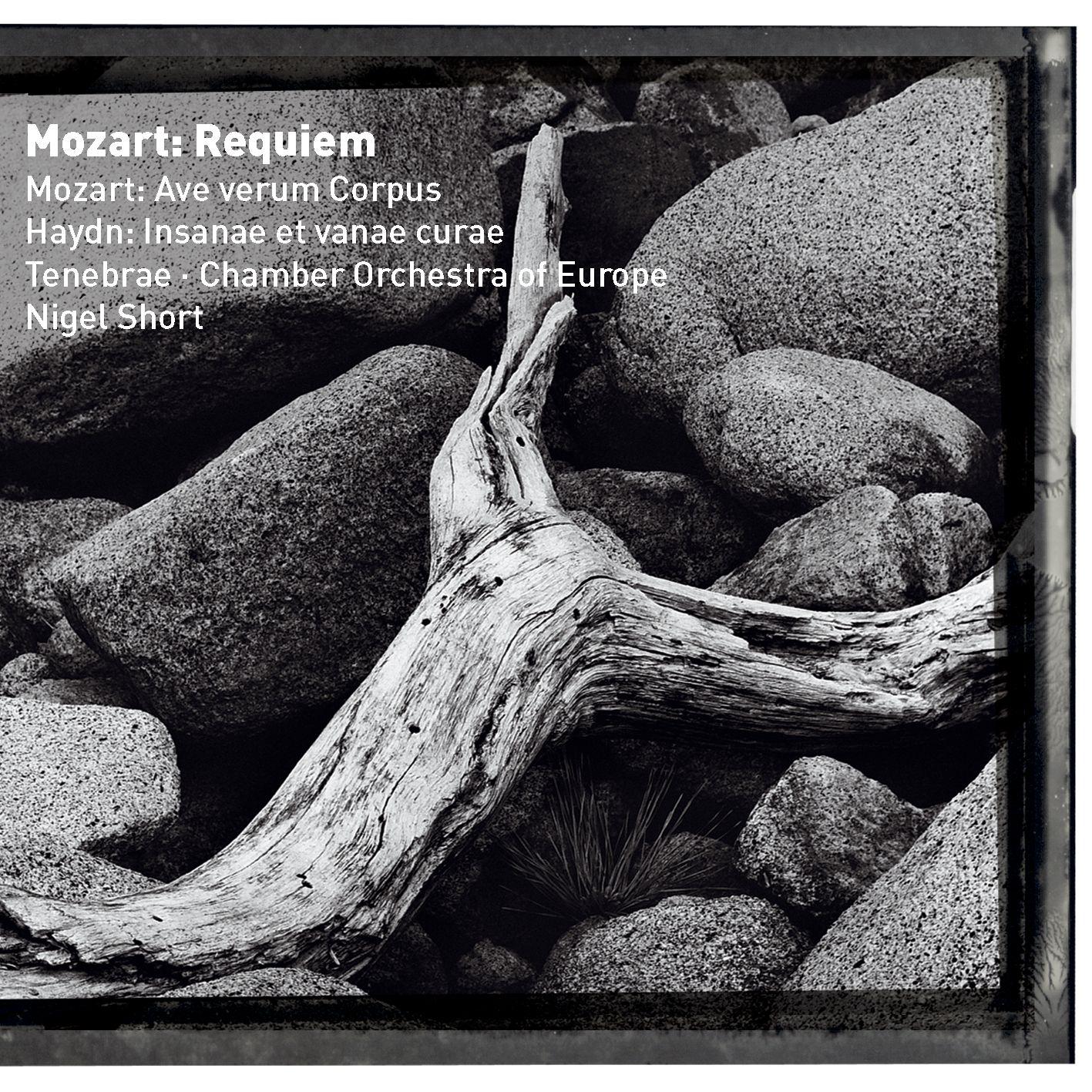 Mozart:Requiem in D minor K626 : V Rex tremendae