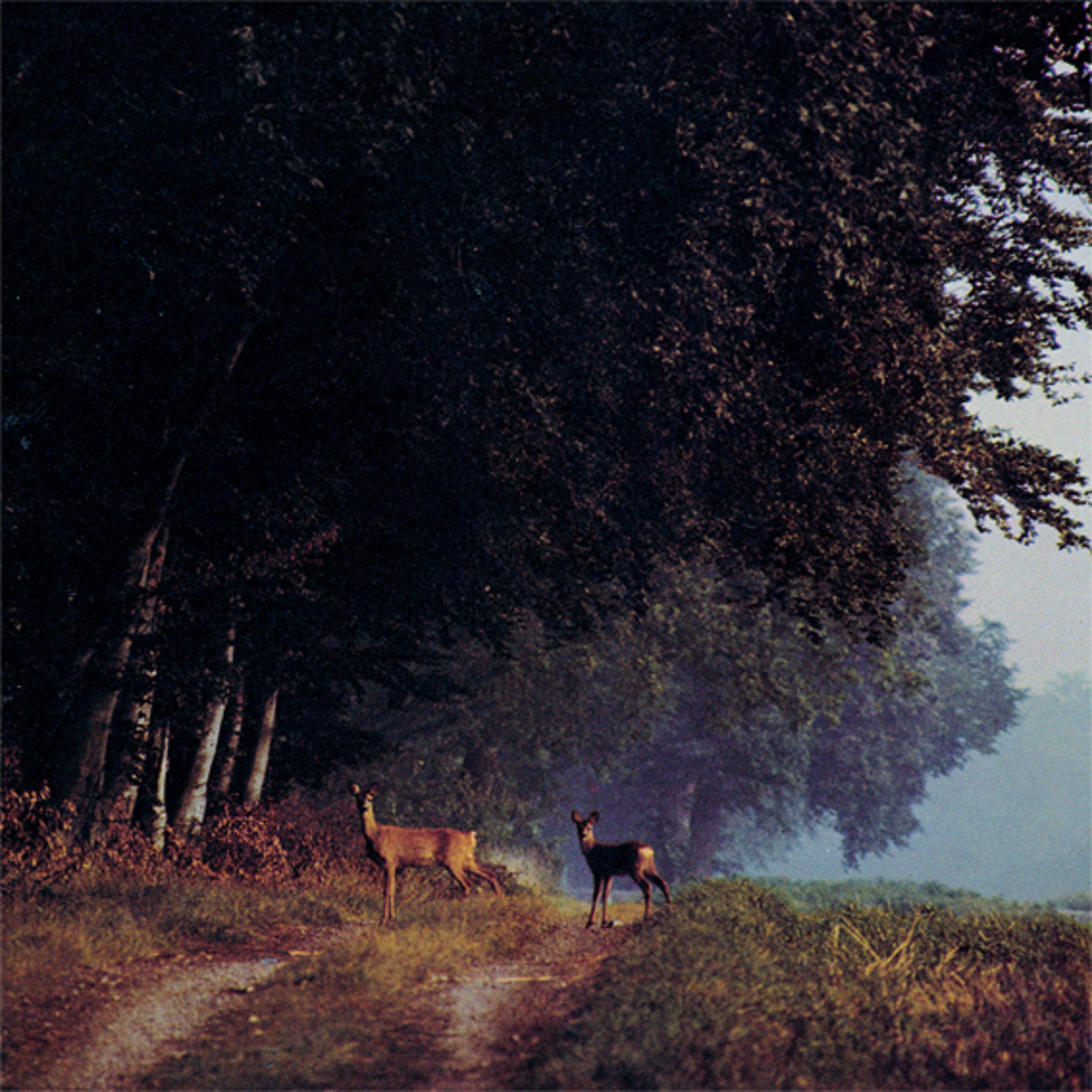 Stormat ut i vid ppen v rld