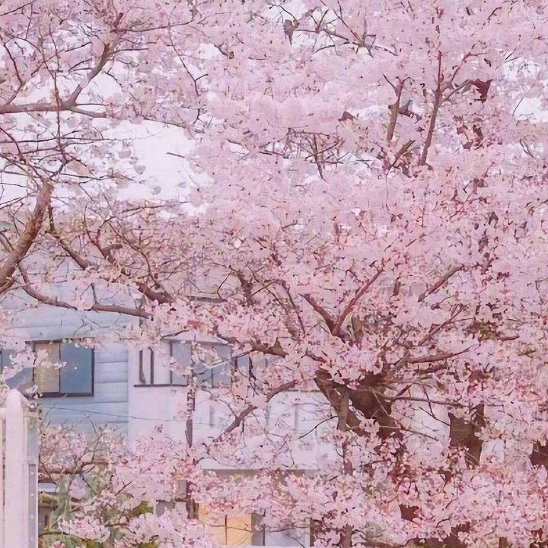 MemorySpaces ji yi kong jian