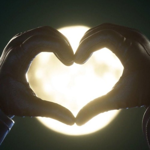 Kingdom Of Lights & Lies