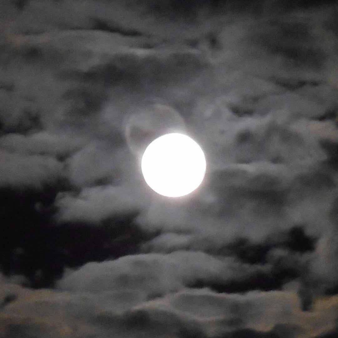 shen ye chuang zuo zhe