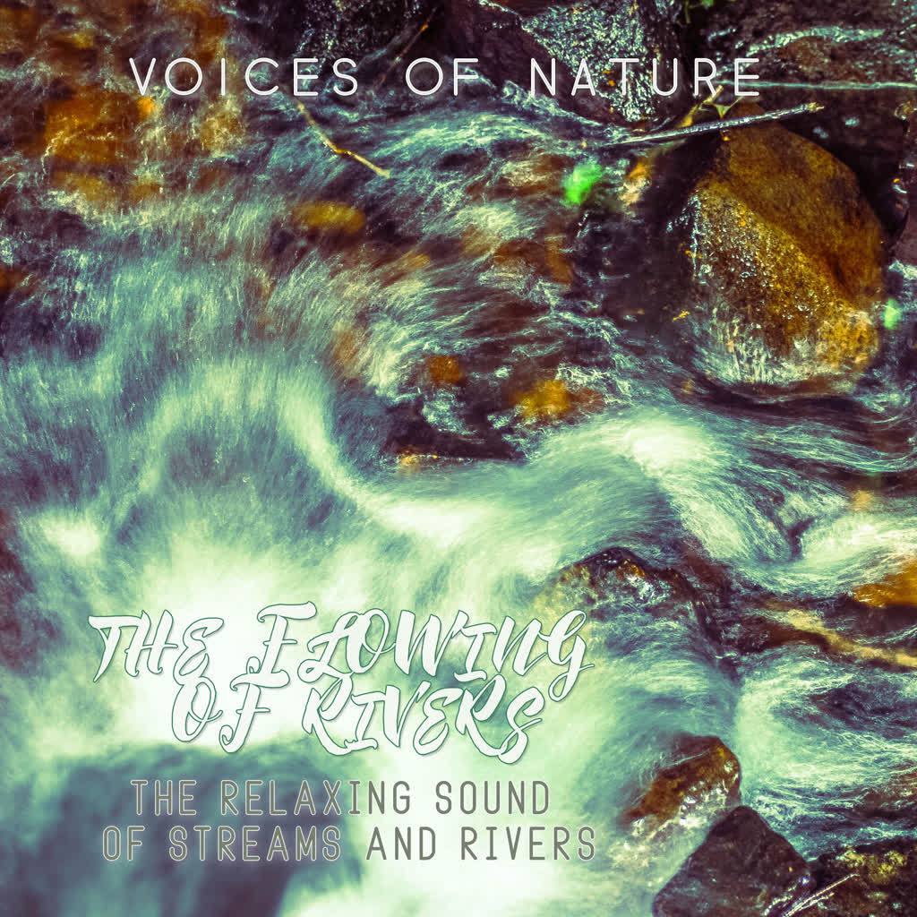 Rippling Stream in the Rainforest at Night-time