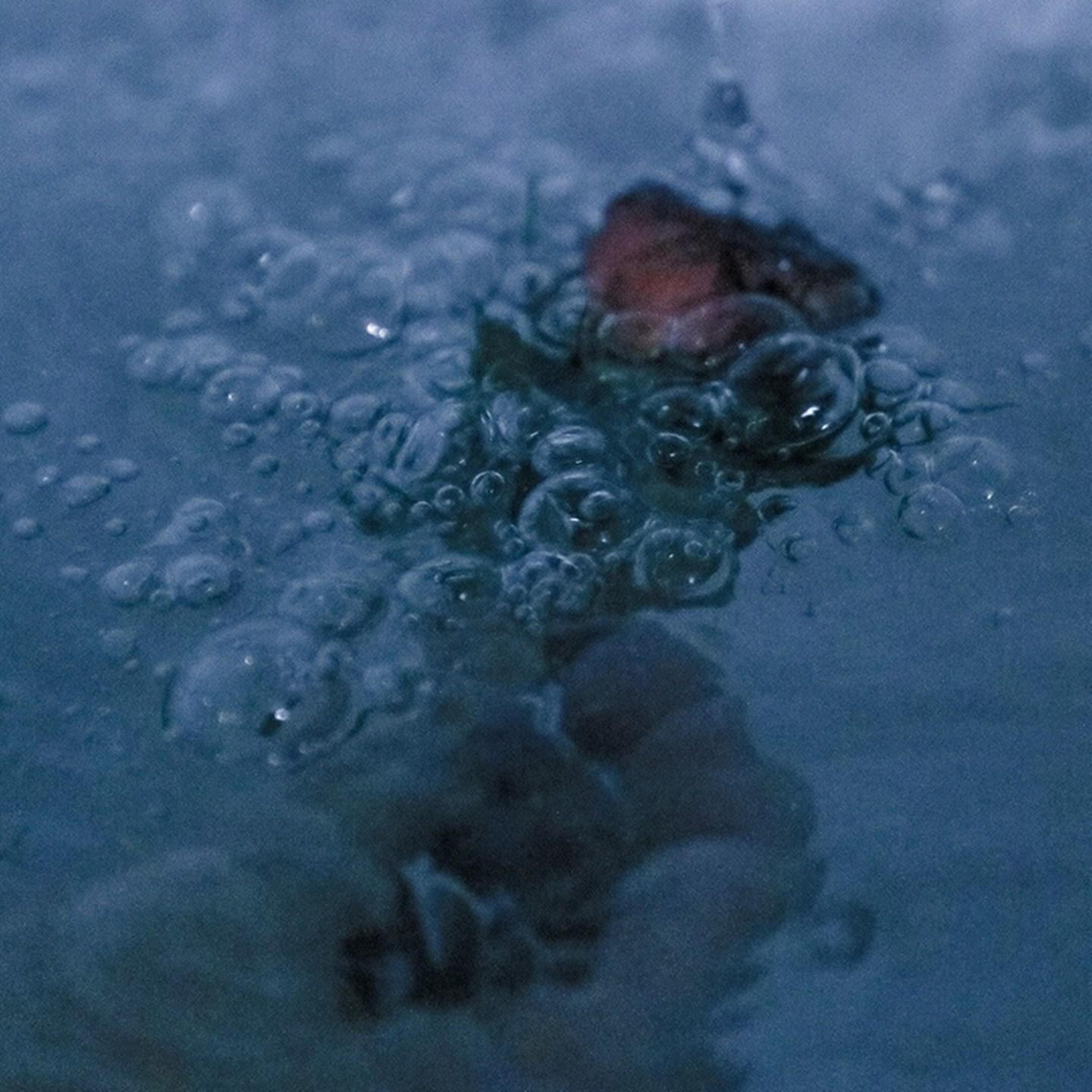 wo zai yu tang li ni wang