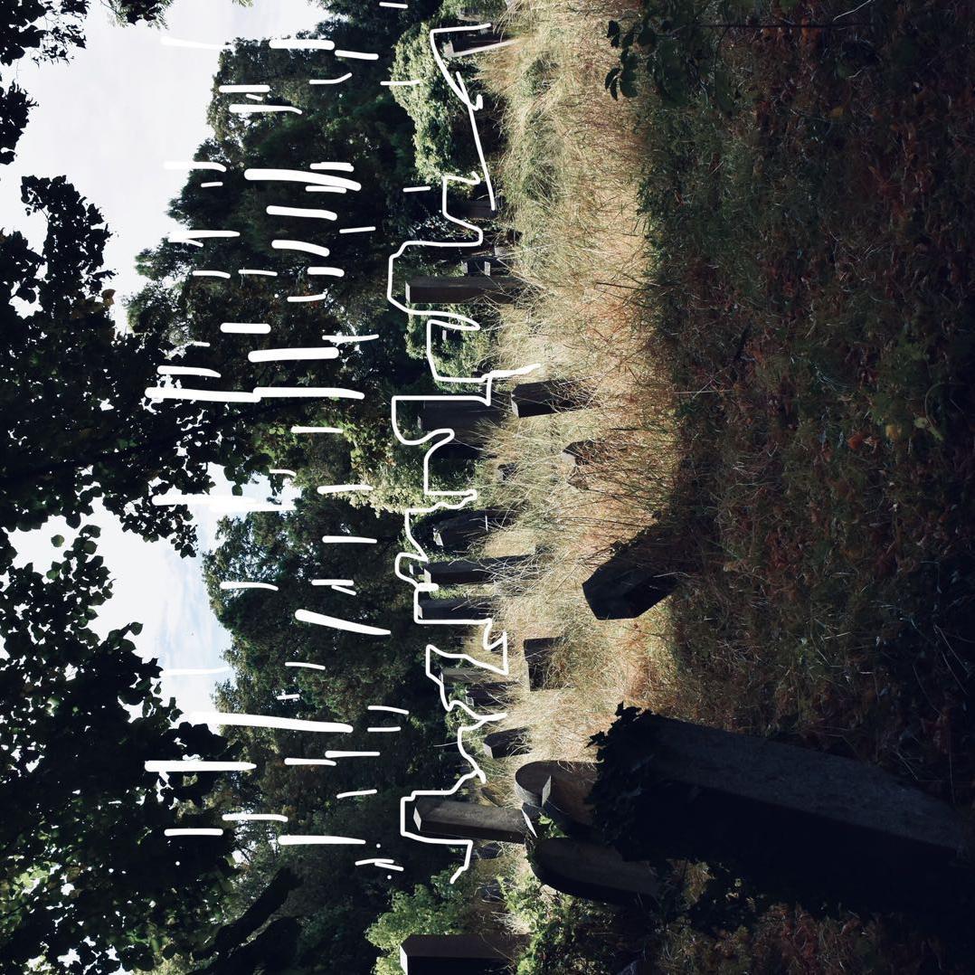 ling chen 4 dian de meng hen zha nao