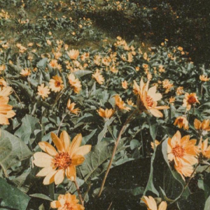 di shi san ge yue de xing qi ba ni hui zai na