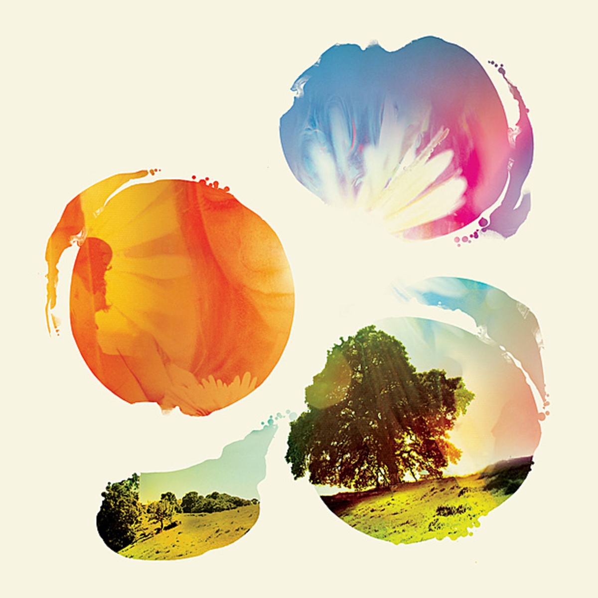 A Circular Reeduction (Dusty Brown Remix)