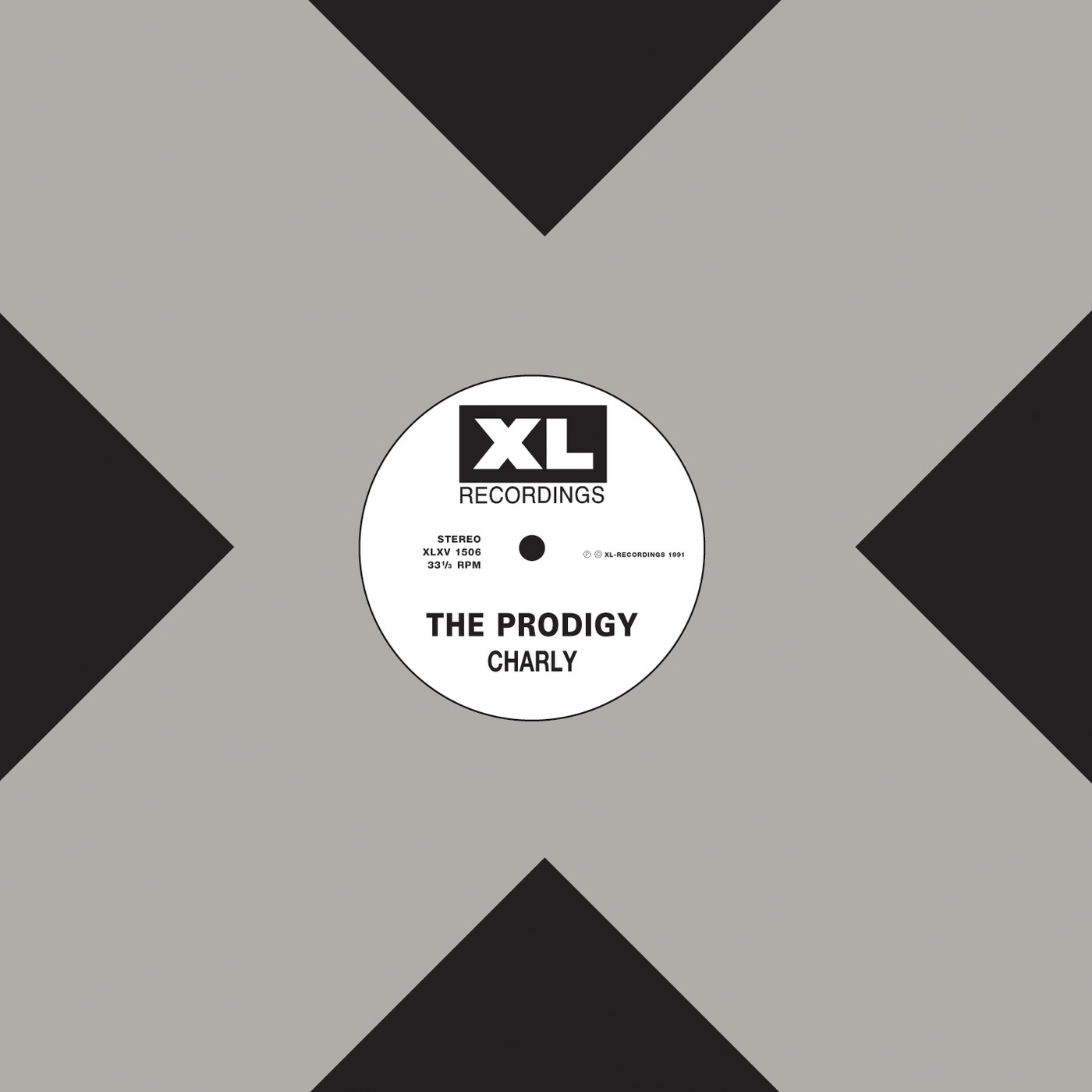 Charly (Alley Cat Mix)