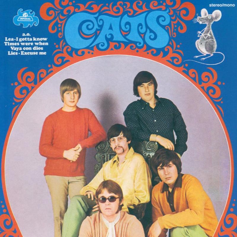 I've Always Tried To Understand