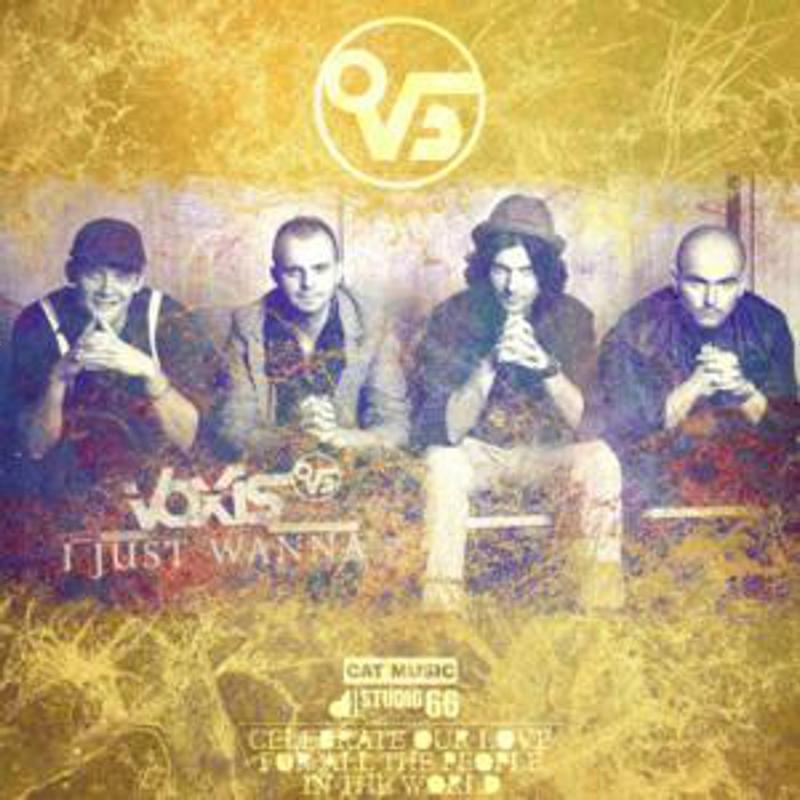 I Just Wanna (Radio Edit)