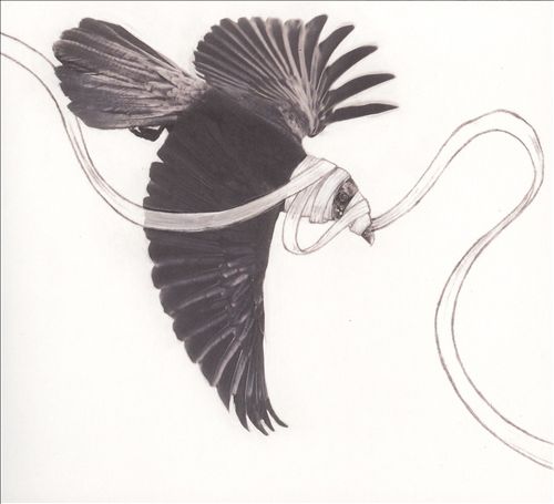 The Meat Of The Leg Joint