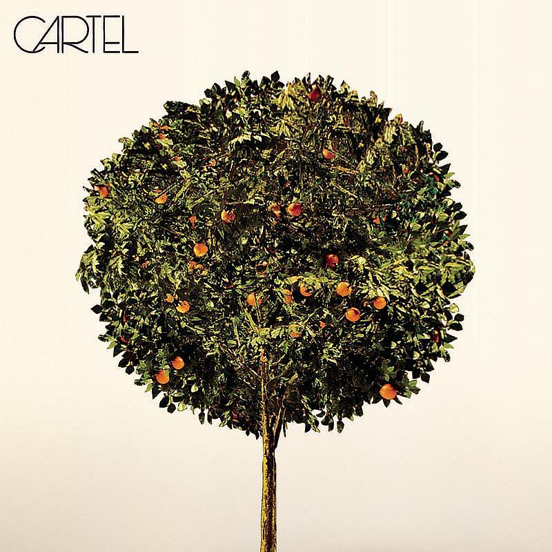 Wasted - Remix featuring Wyclef Jean