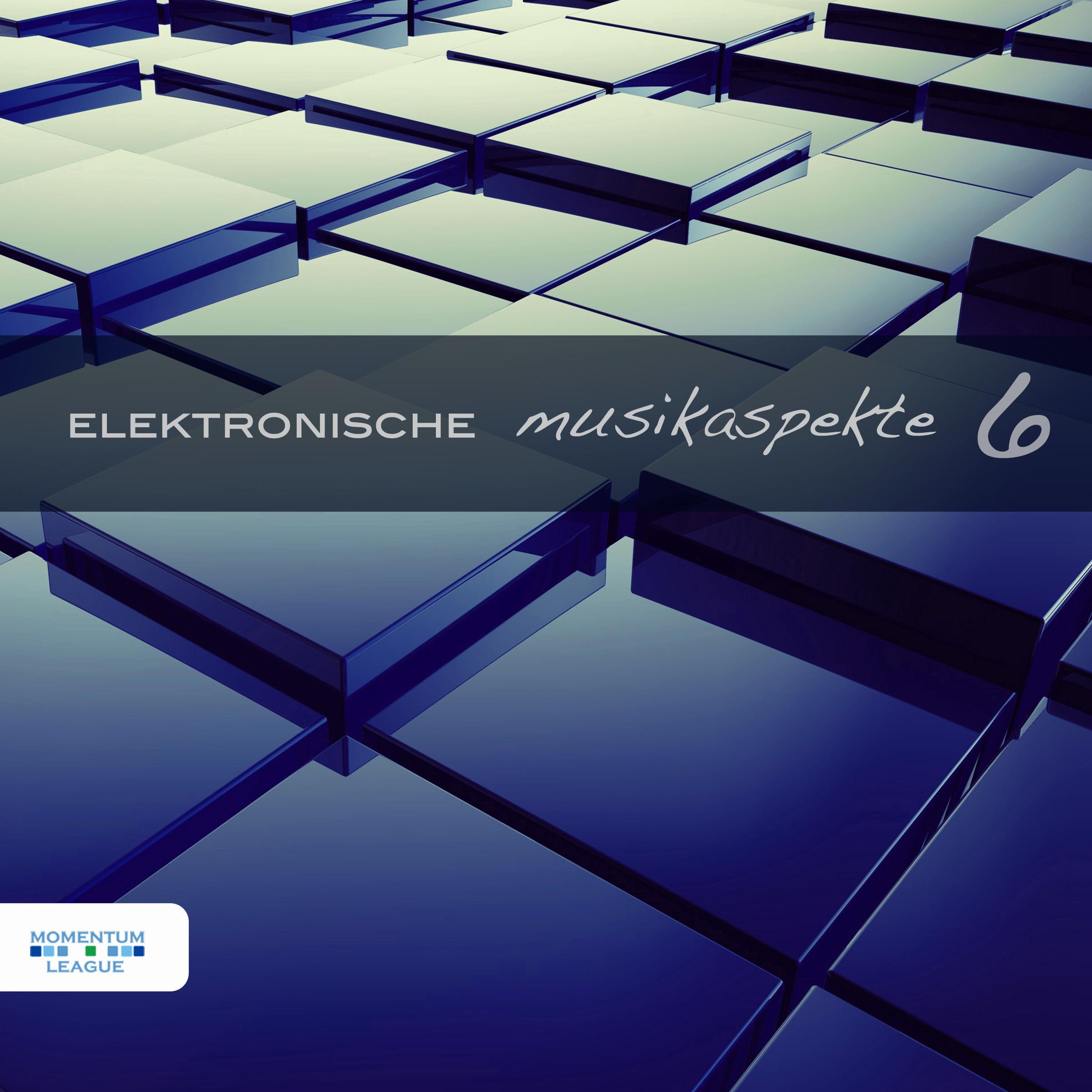Elektronische Musikaspekte, Vol. 6