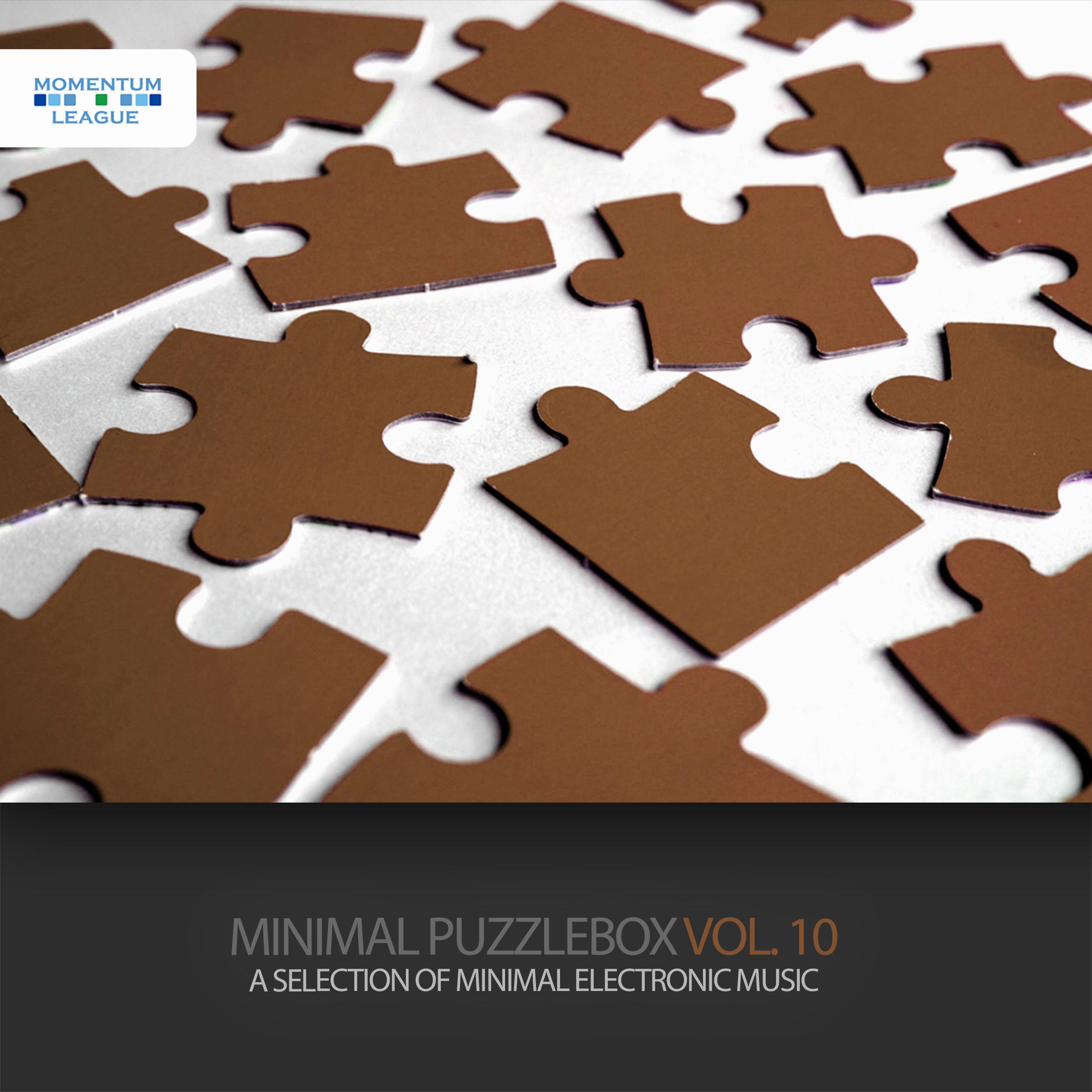 Minimal Puzzlebox, Vol. 10 - A Selection of Minimal Electro Music