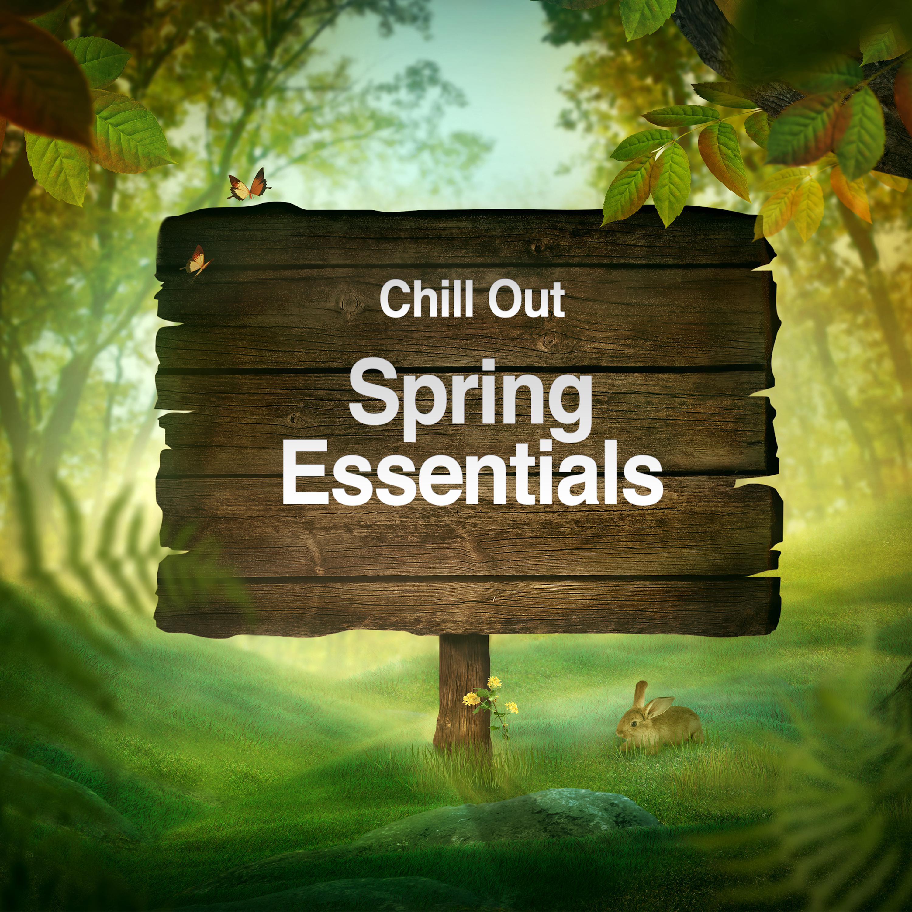 Chill Out - Spring Essentials