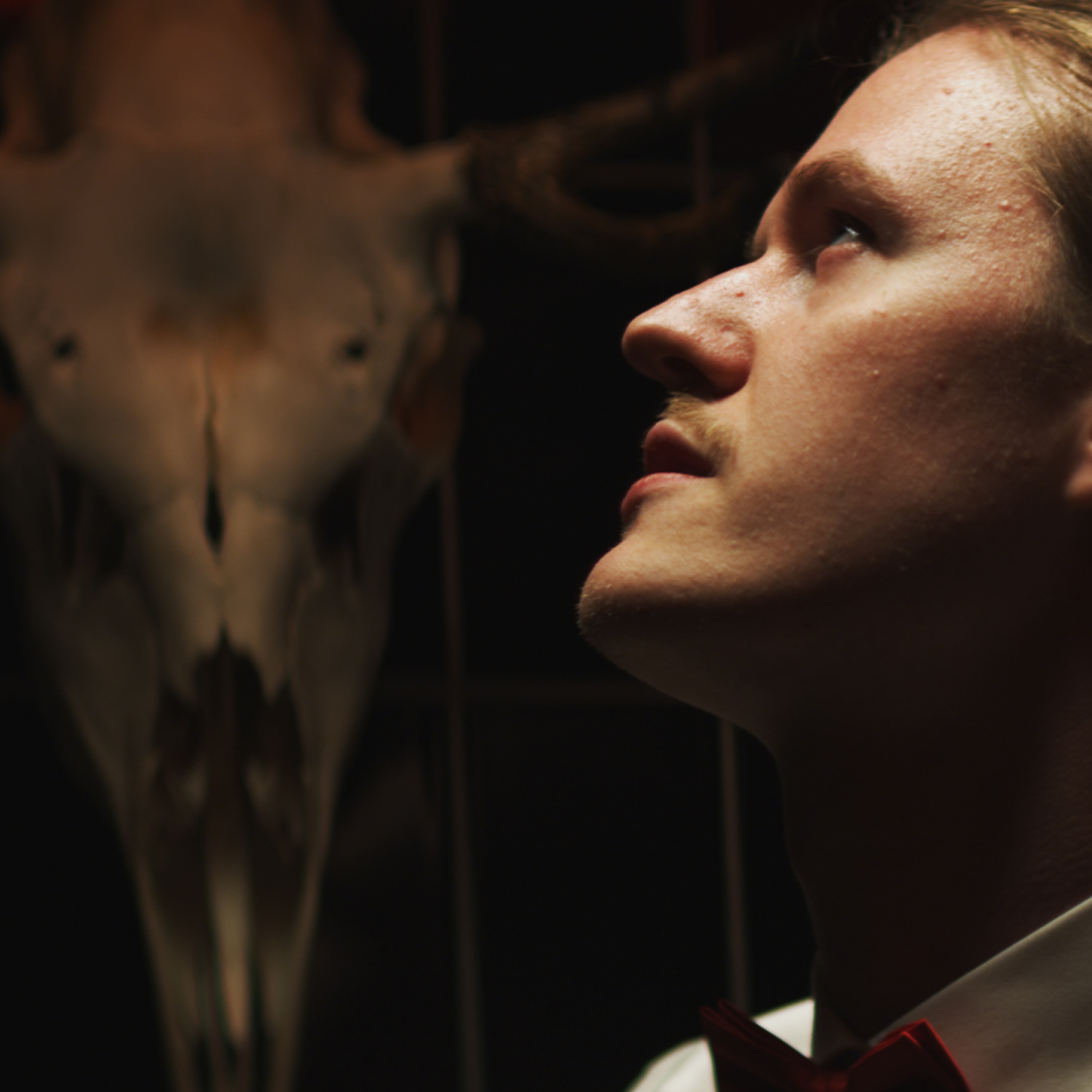 Lamput Sammuu feat. Likanen Etel  Matinpoika