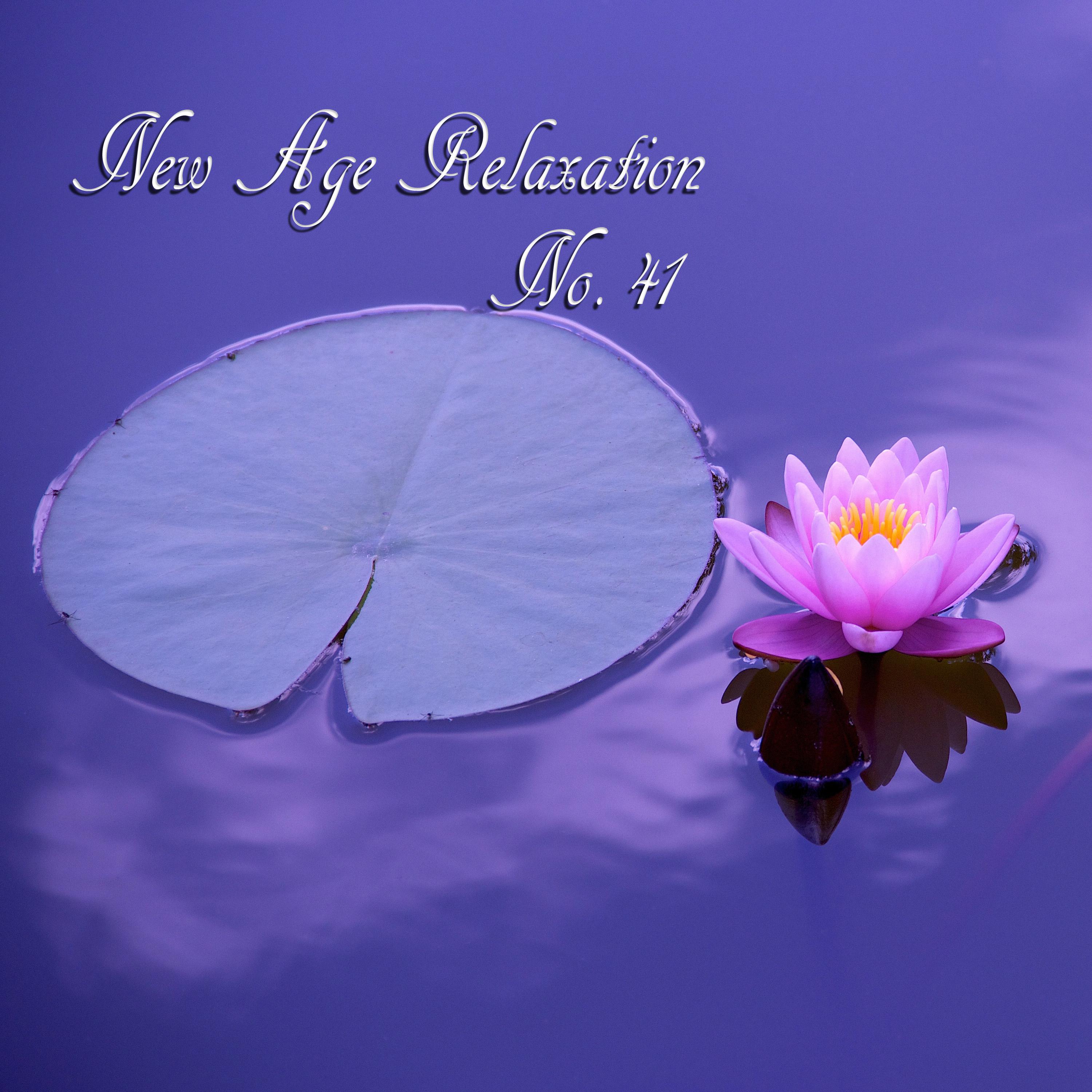 New Age Relaxation, No. 41