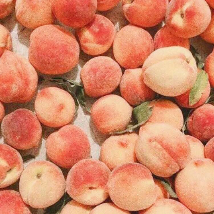 yi bai ge bu xi huan ni de fang fa