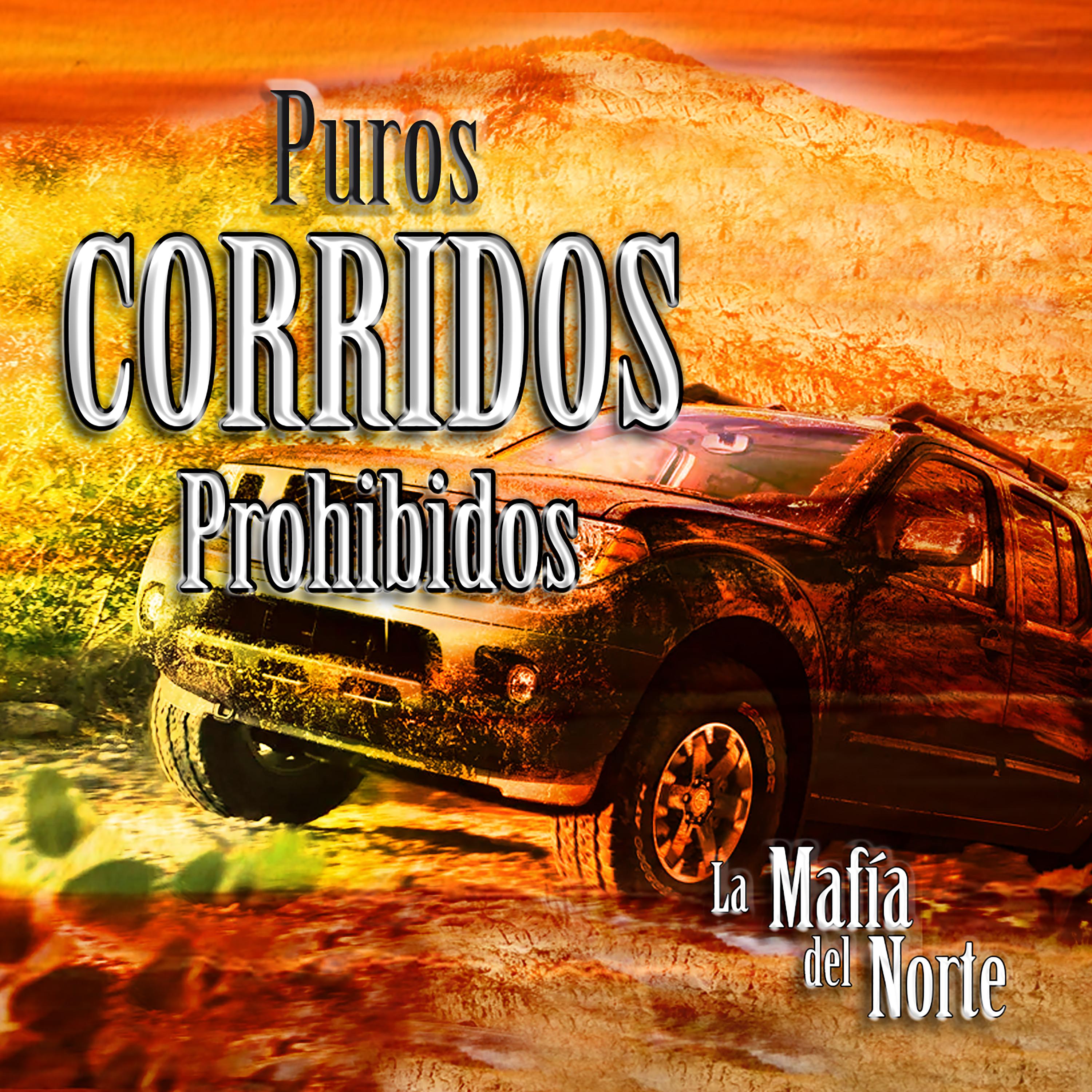 El Federal De Caminos