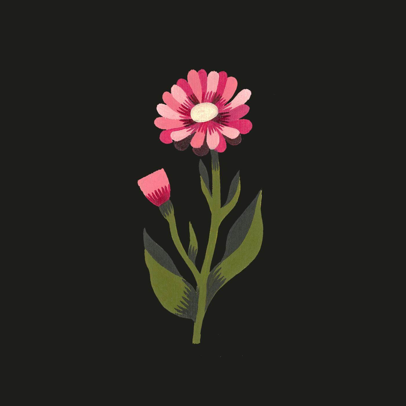 Closer Than a Brother