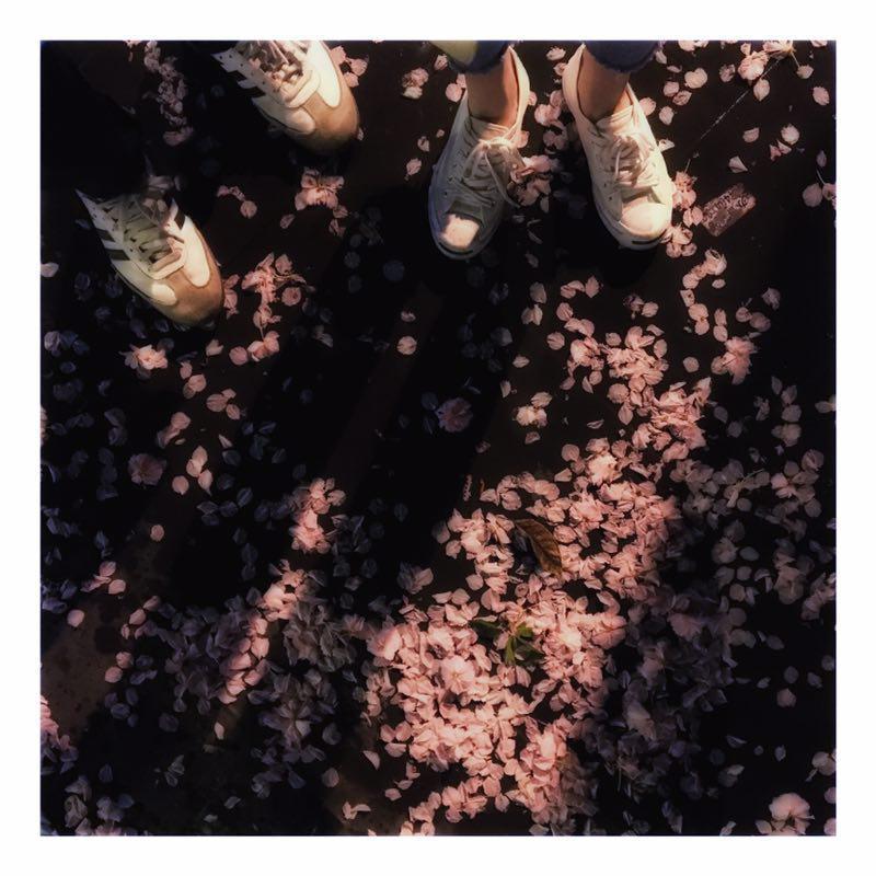 you le mei, Sunshine, Fire Rainbow