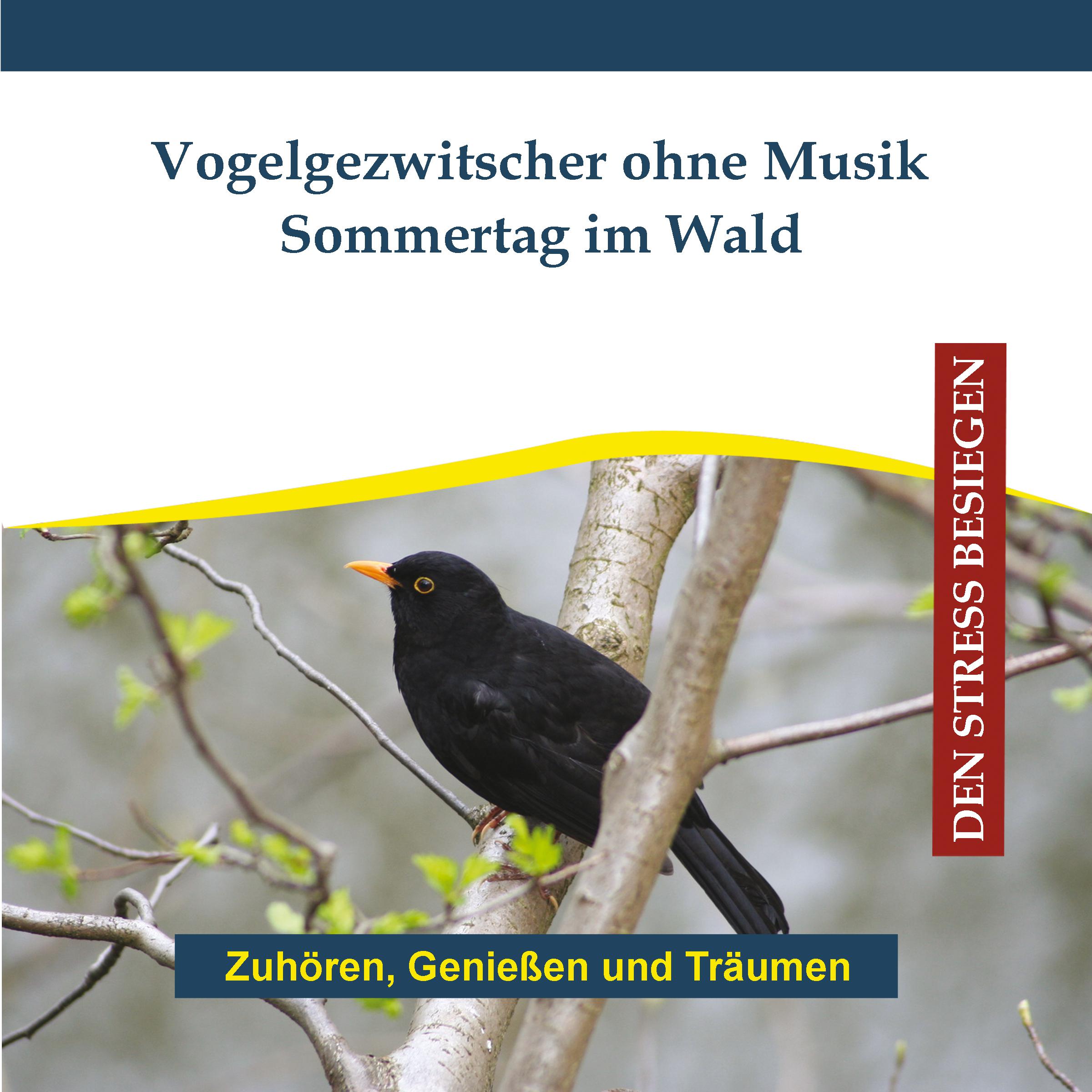Vogelgezwitscher ohne Musik - Sommertag im Wald