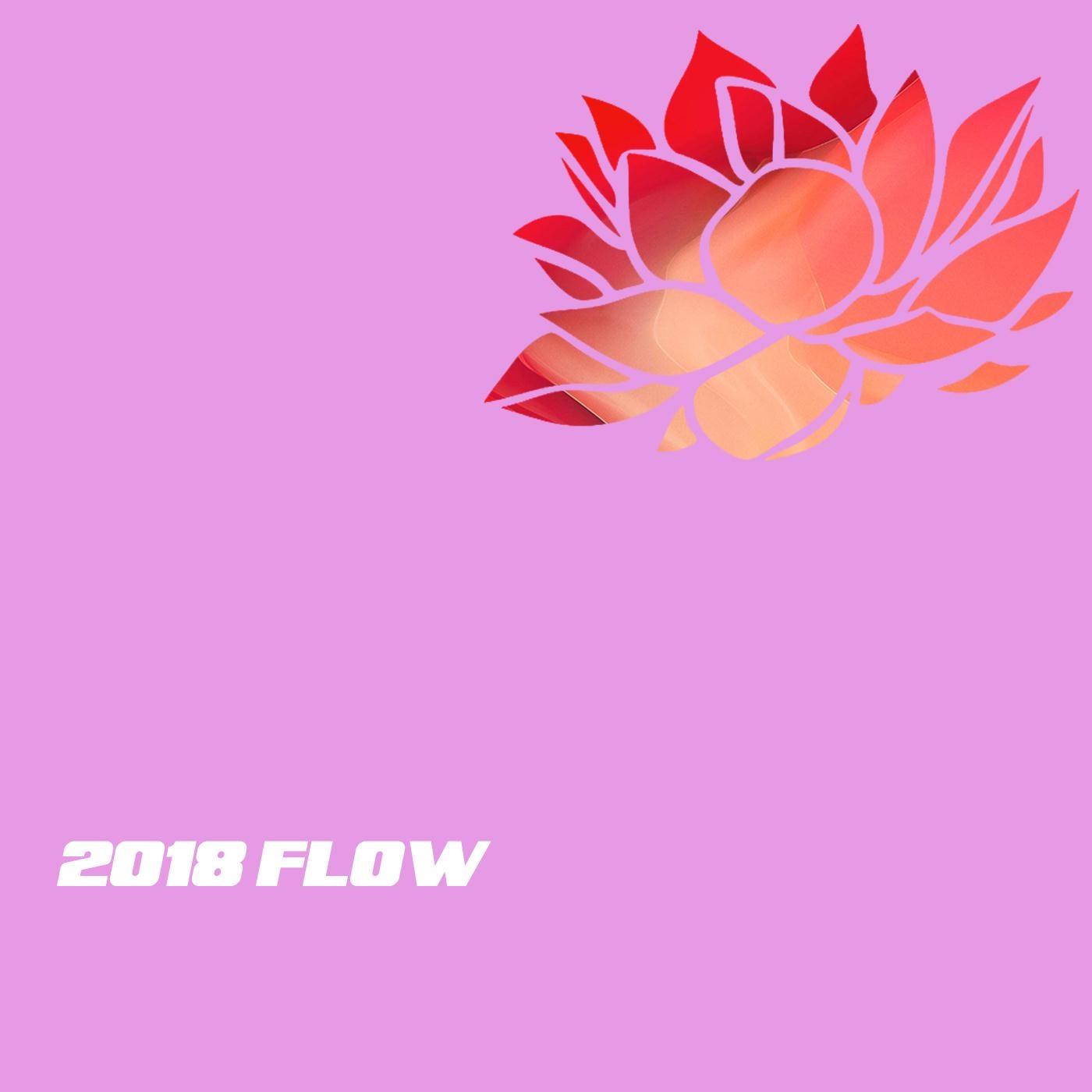 2018 Flow