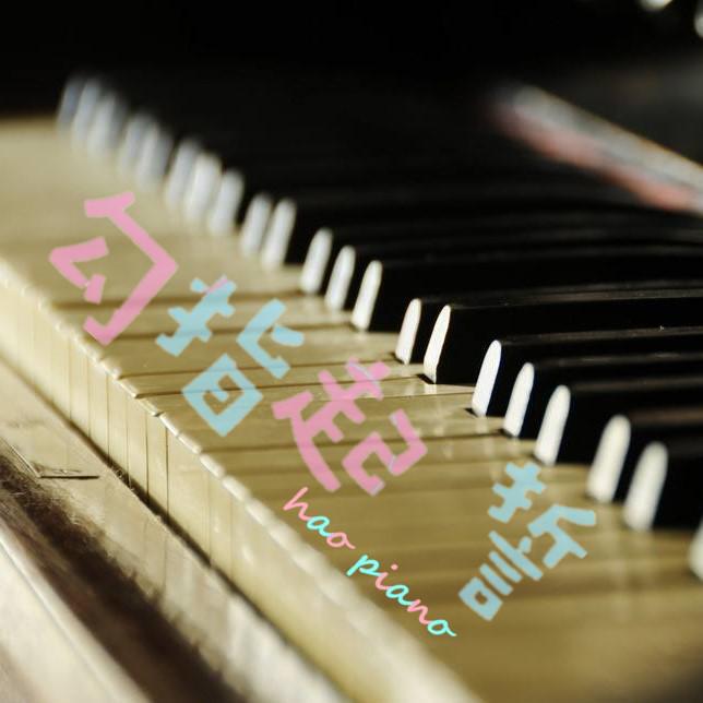 gou zhi qi shi gang qin ban zou