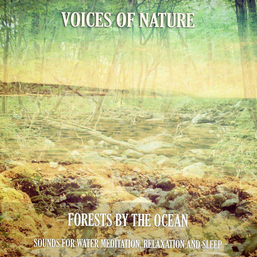 Summer Coasts : Forest Birds by the Shore : Sounds for Water Meditation, Relaxation and Sleep