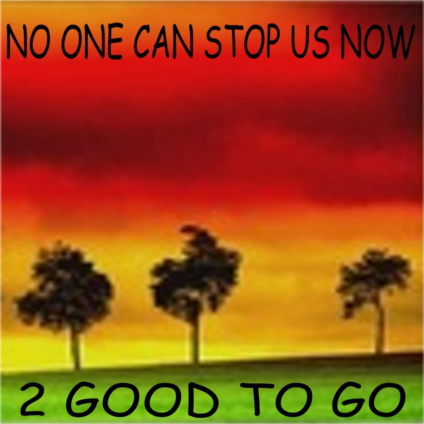 No One Can Stop Us Now