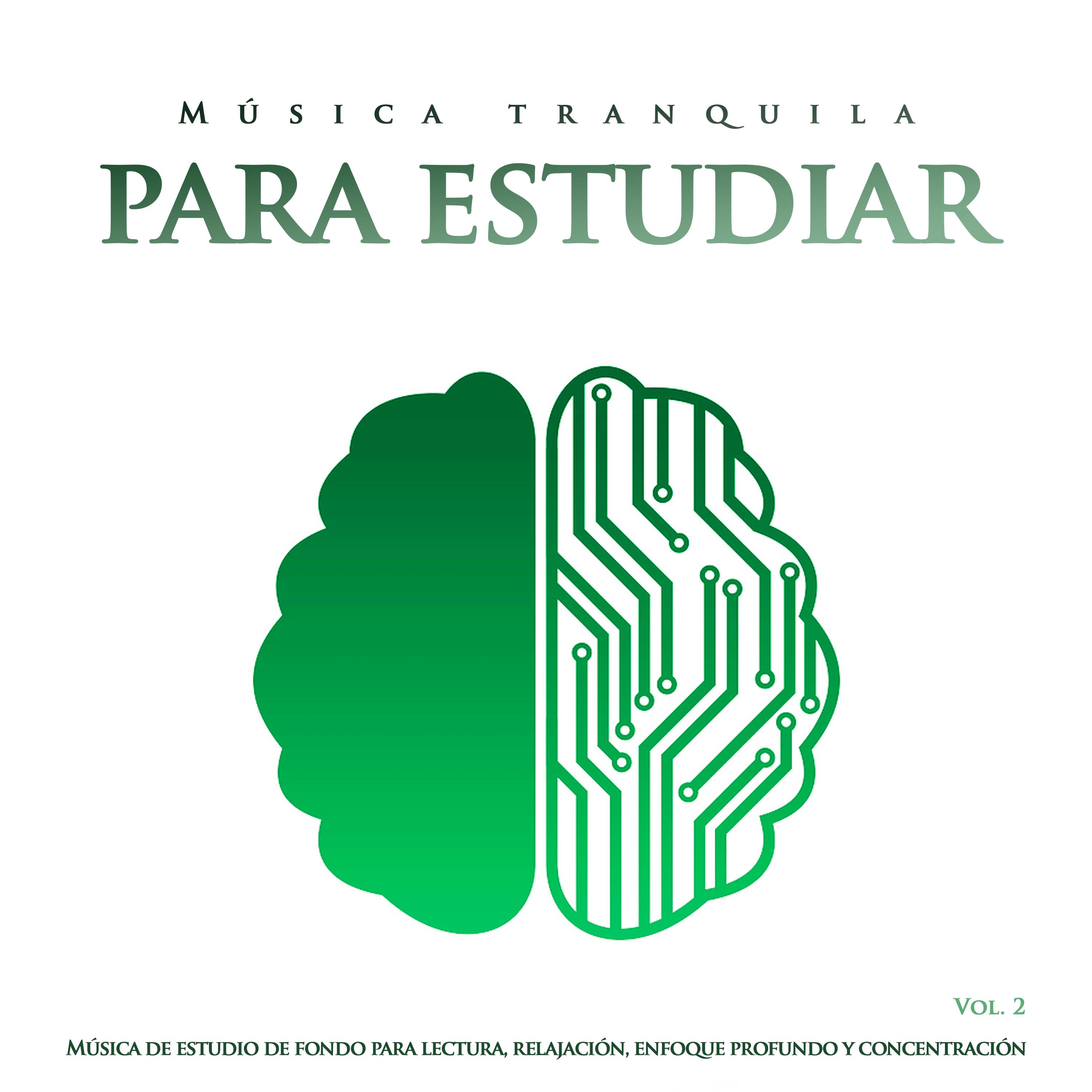 Mu sica tranquila para estudiar: Mu sica de estudio de fondo para lectura, relajacio n, enfoque profundo y concentracio n, Vol. 2