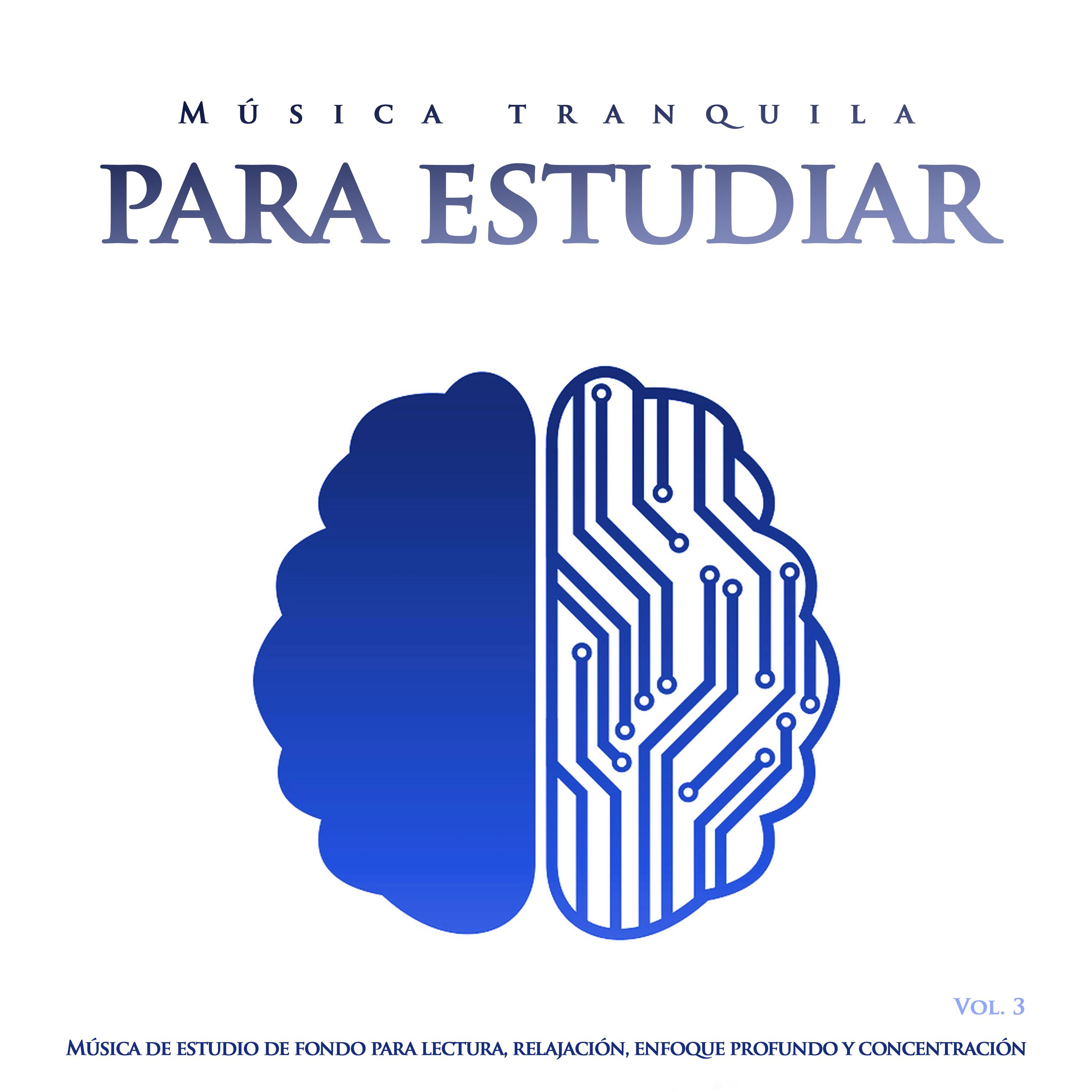 Mu sica tranquila para estudiar: Mu sica de estudio de fondo para lectura, relajacio n, enfoque profundo y concentracio n, , Vol. 3