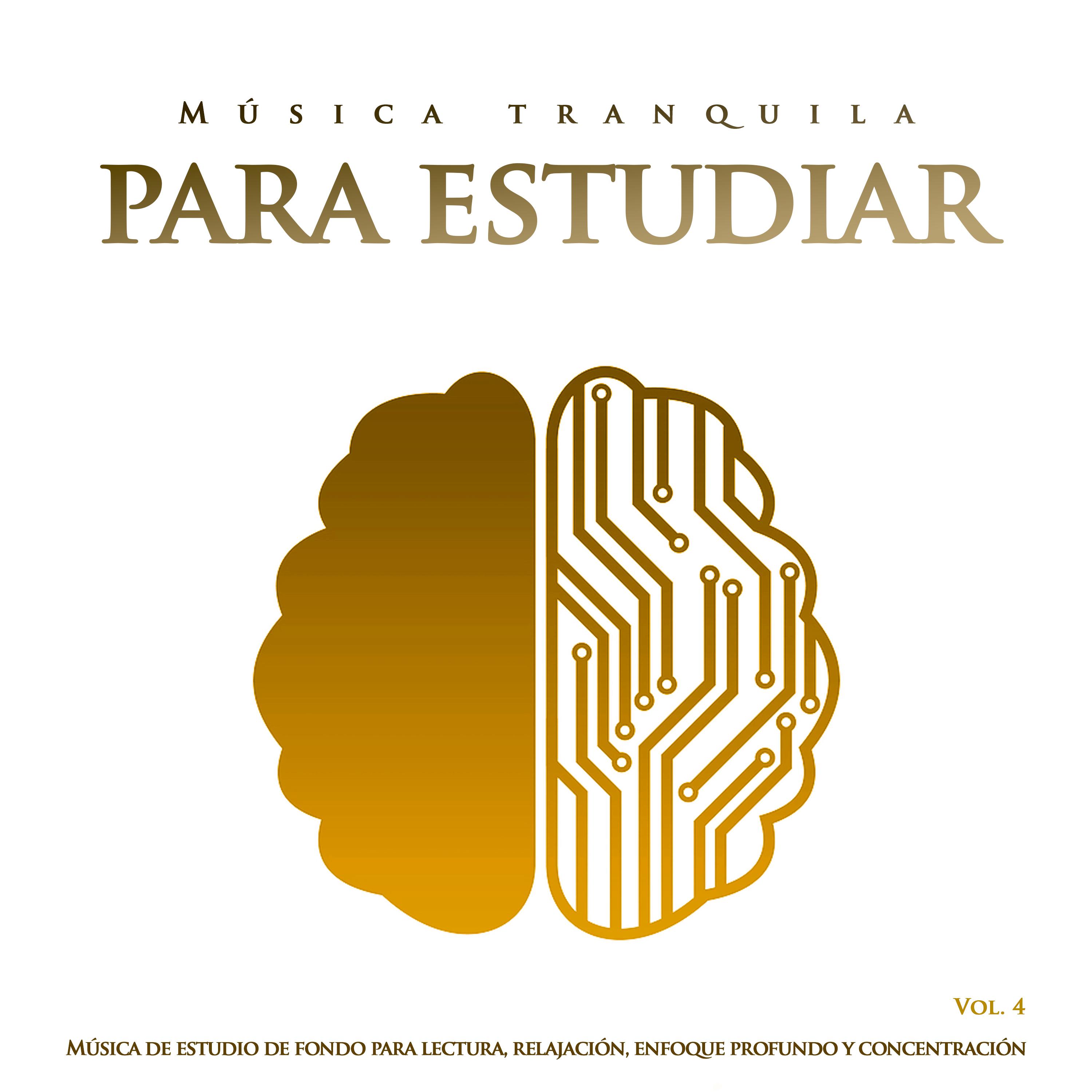 Mu sica tranquila para estudiar: Mu sica de estudio de fondo para lectura, relajacio n, enfoque profundo y concentracio n, , Vol. 4