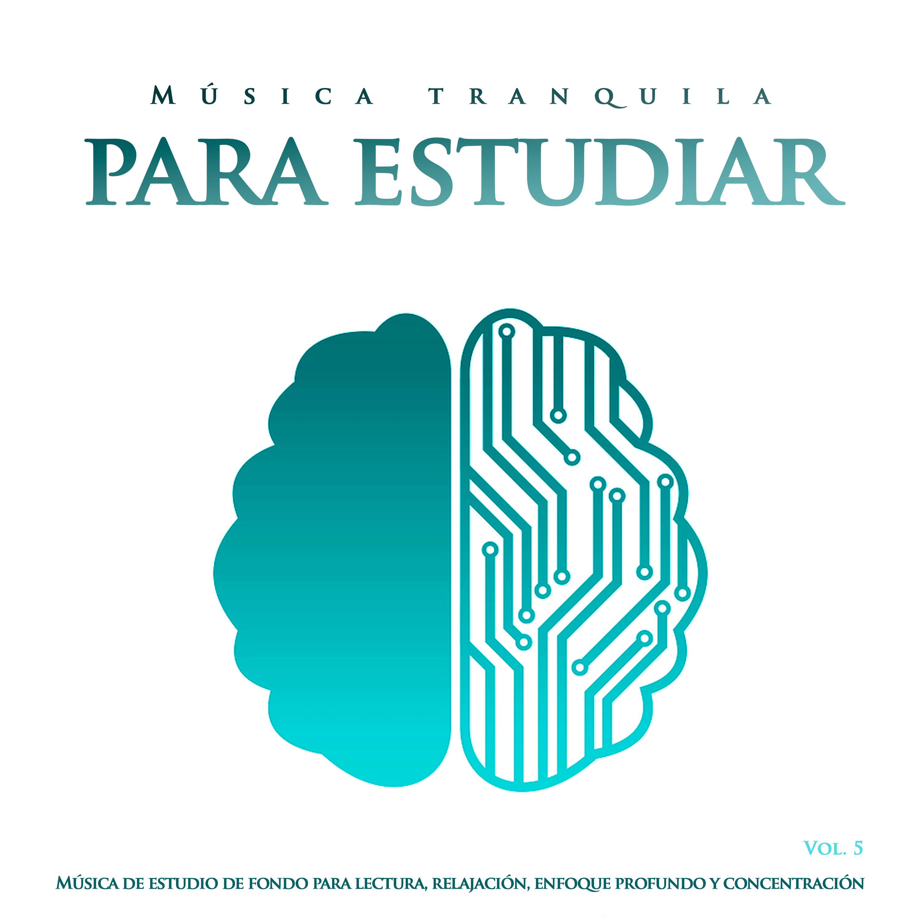 Mu sica tranquila para estudiar: Mu sica de estudio de fondo para lectura, relajacio n, enfoque profundo y concentracio n, Vol. 5