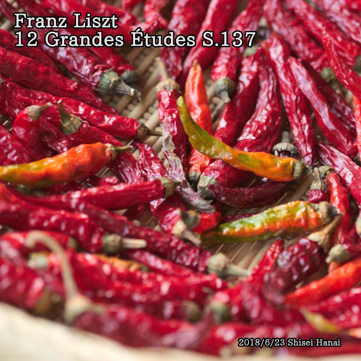 Etudes in C Major, S. 137: 1. Presto