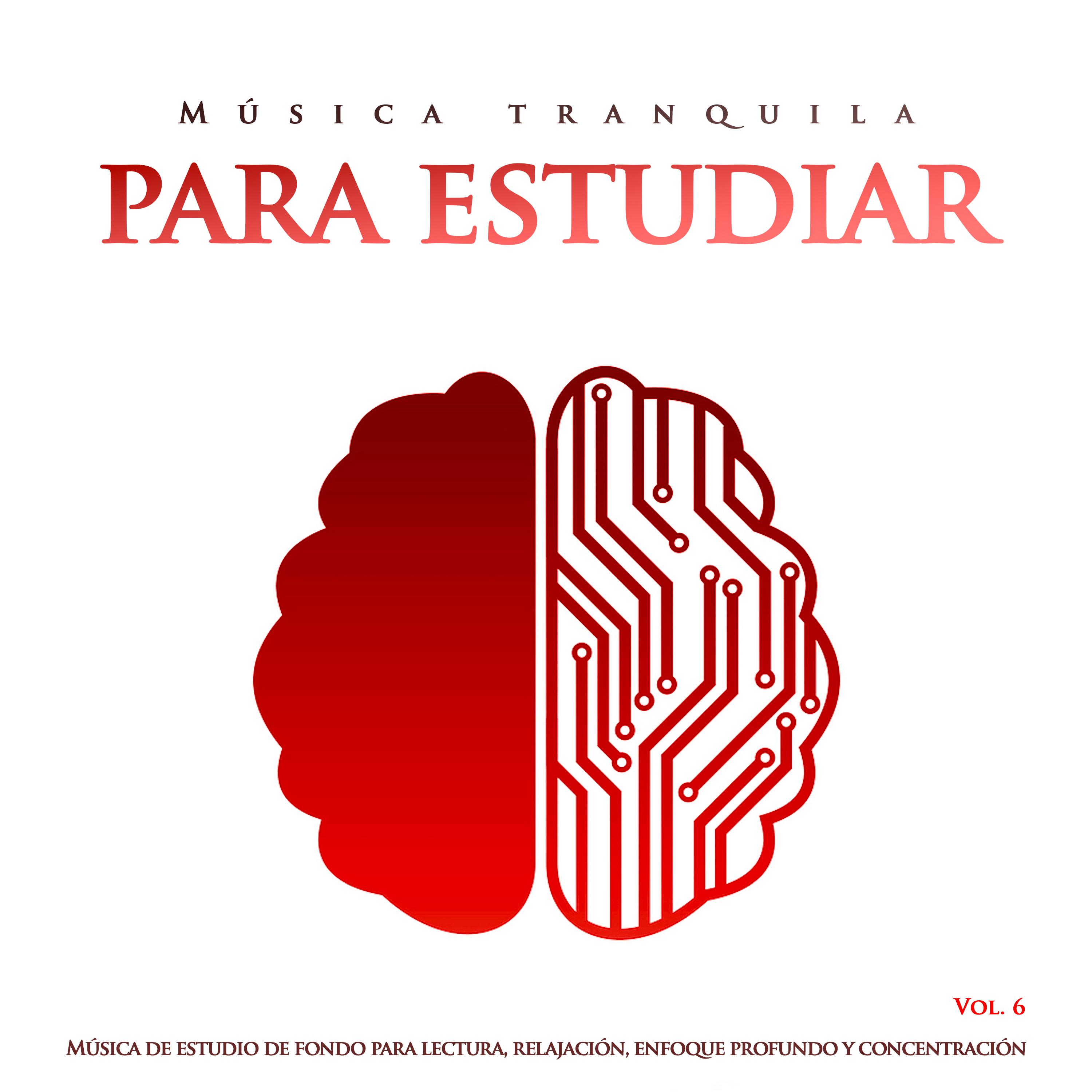 Mu sica tranquila para estudiar: Mu sica de estudio de fondo para lectura, relajacio n, enfoque profundo y concentracio n, Vol. 6