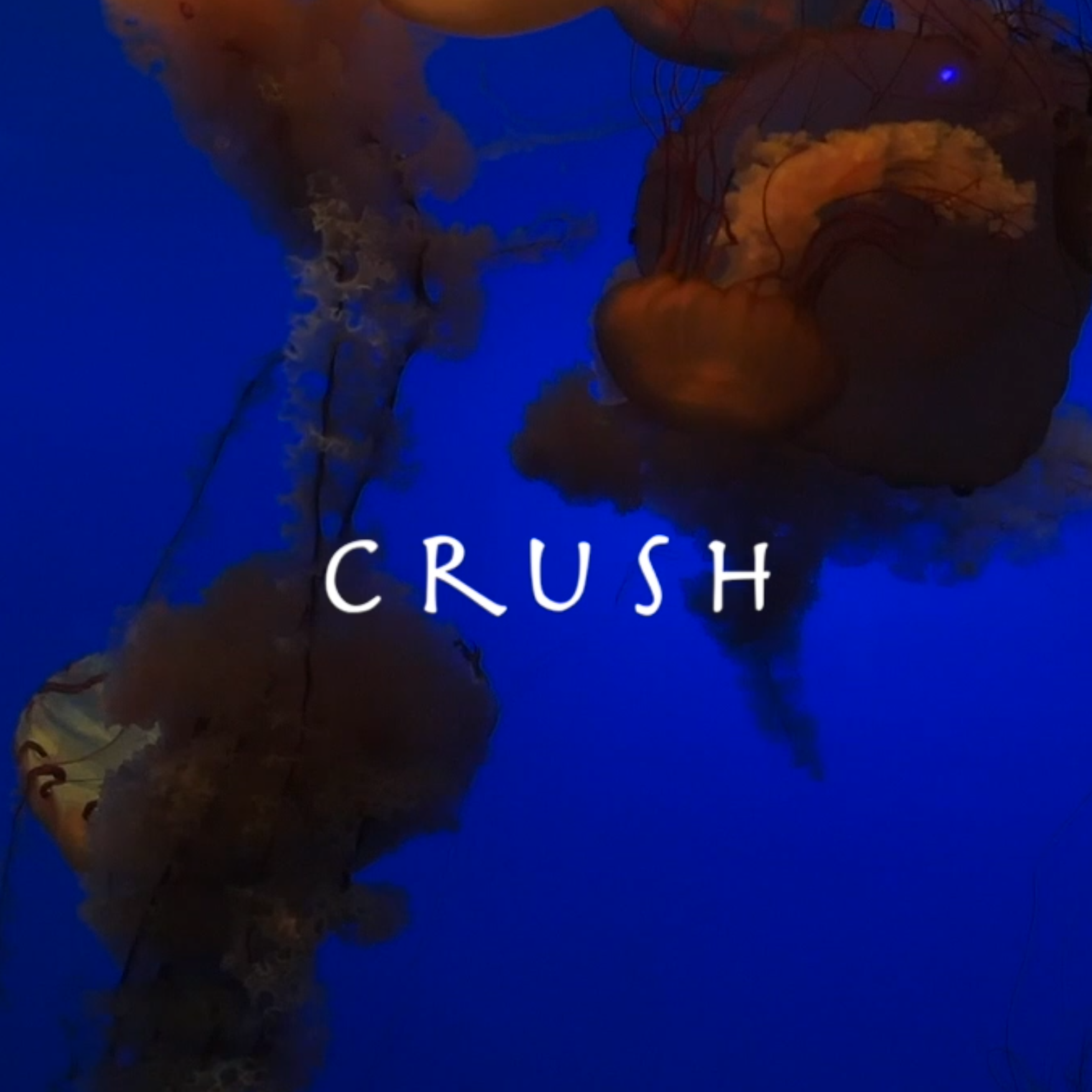 Crush