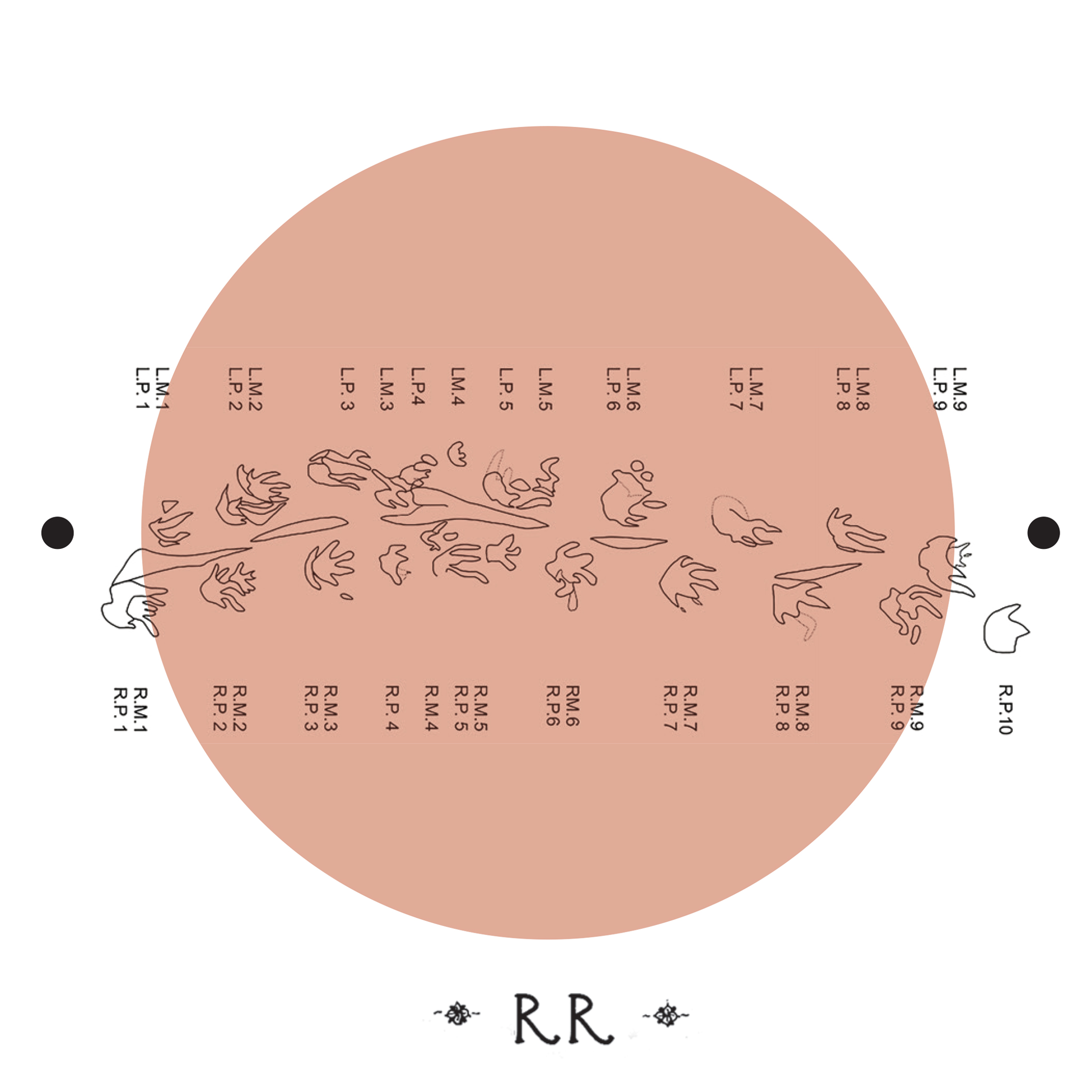 The Smallest Footprints