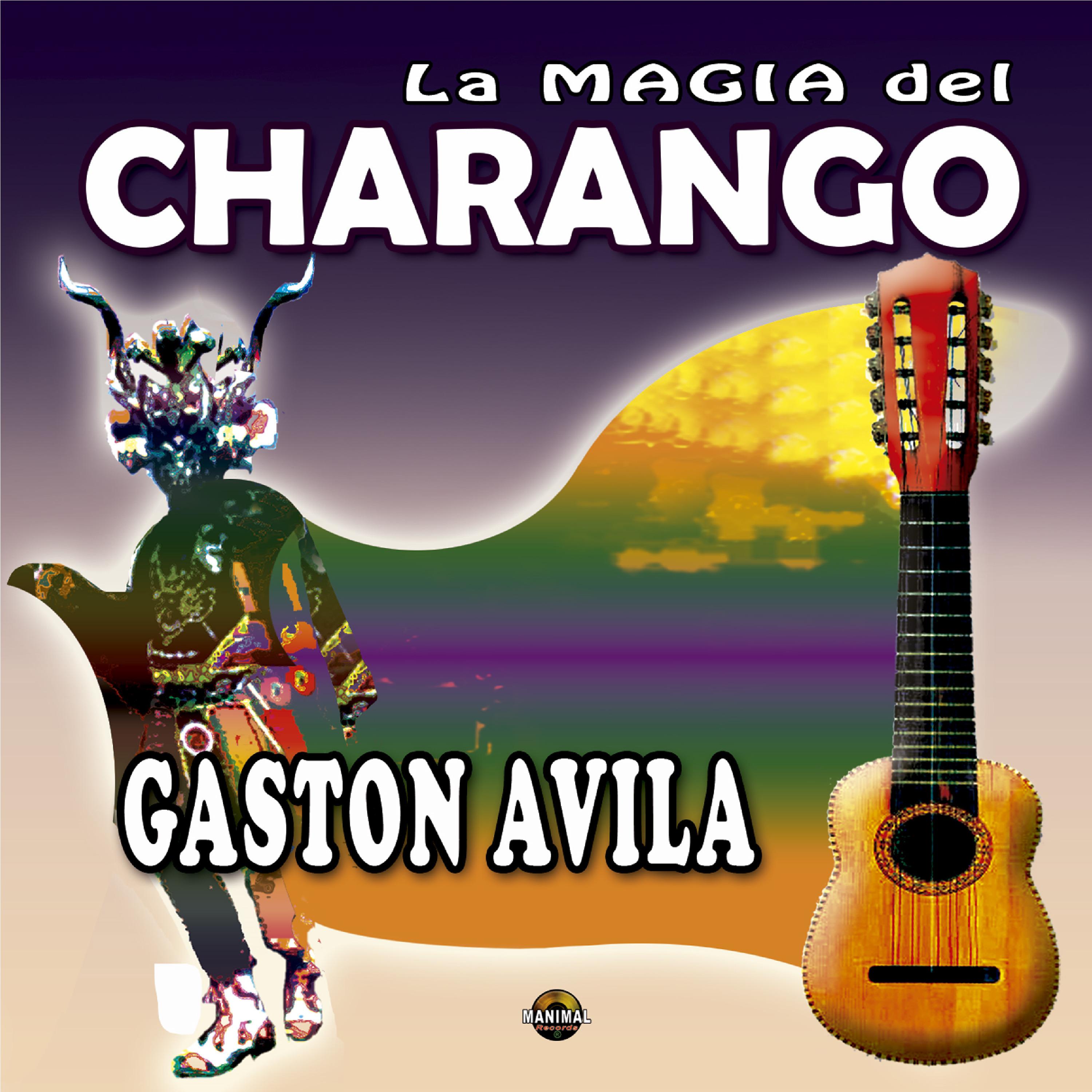 La Magia del Charango