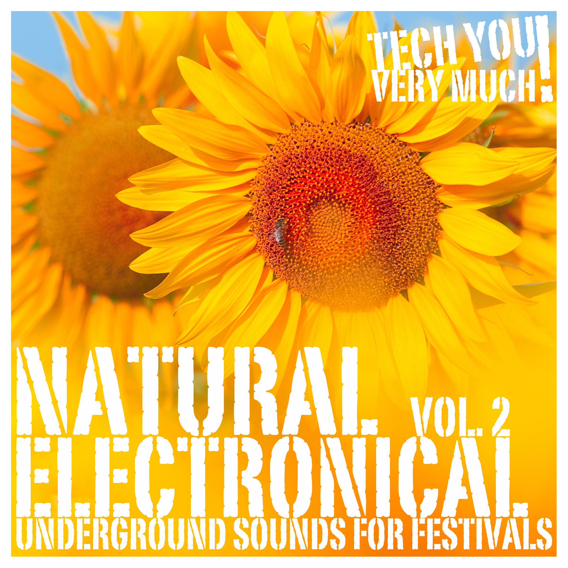 Natural Electronical, Vol. 2 (Underground Sounds for Festivals)