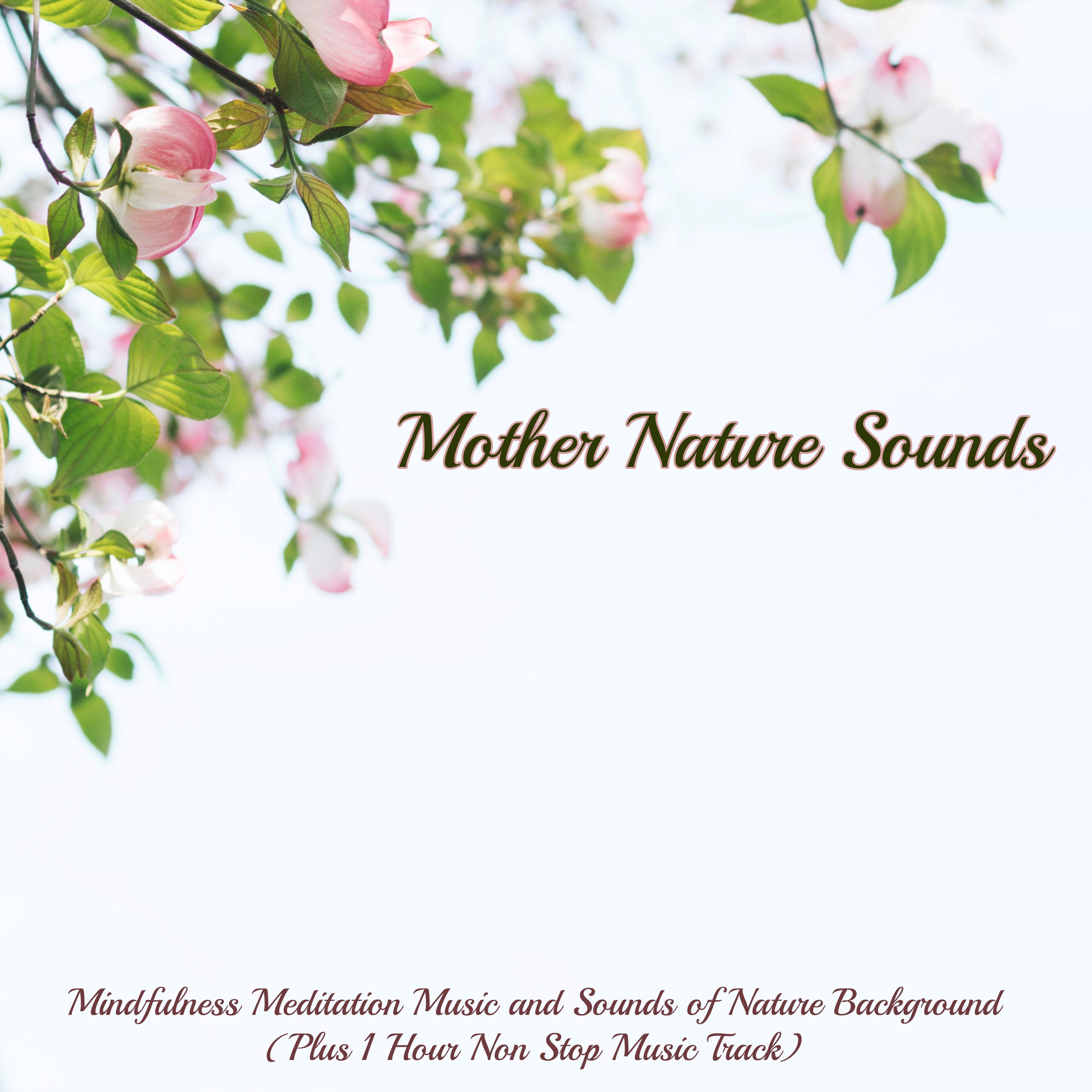 Mother Nature Sounds  Mindfulness Meditation Music and Sounds of Nature Background Plus 1 Hour Non Stop Music Track