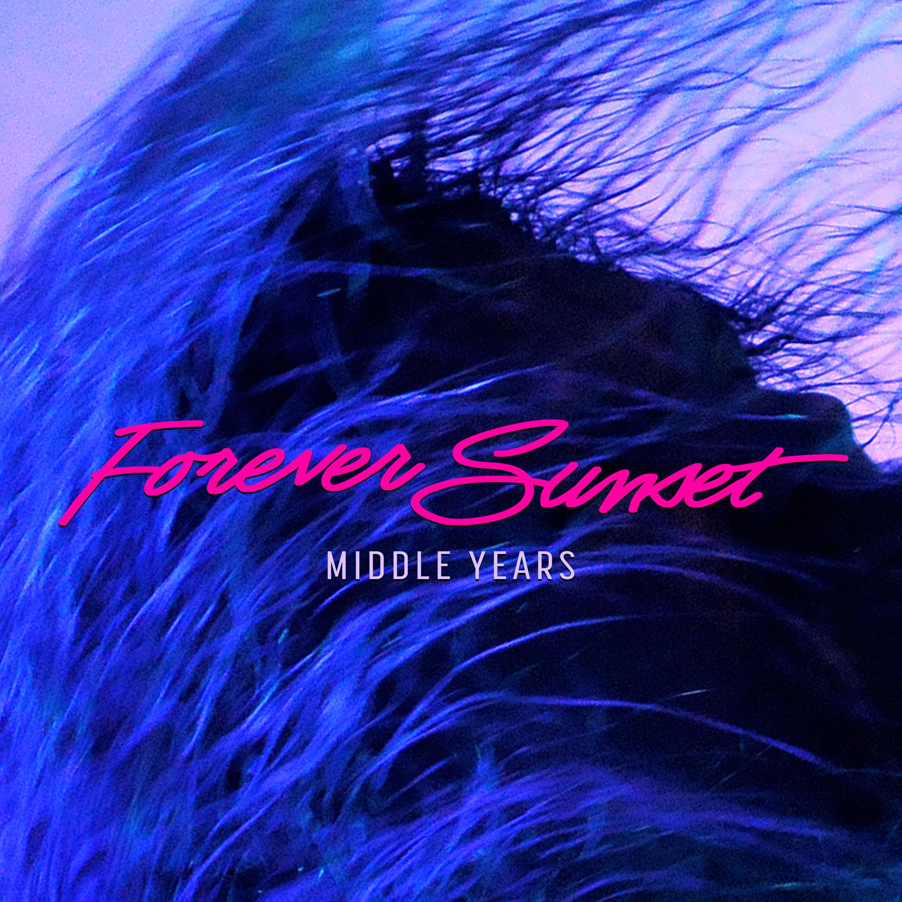 Calabasas Cruise Control