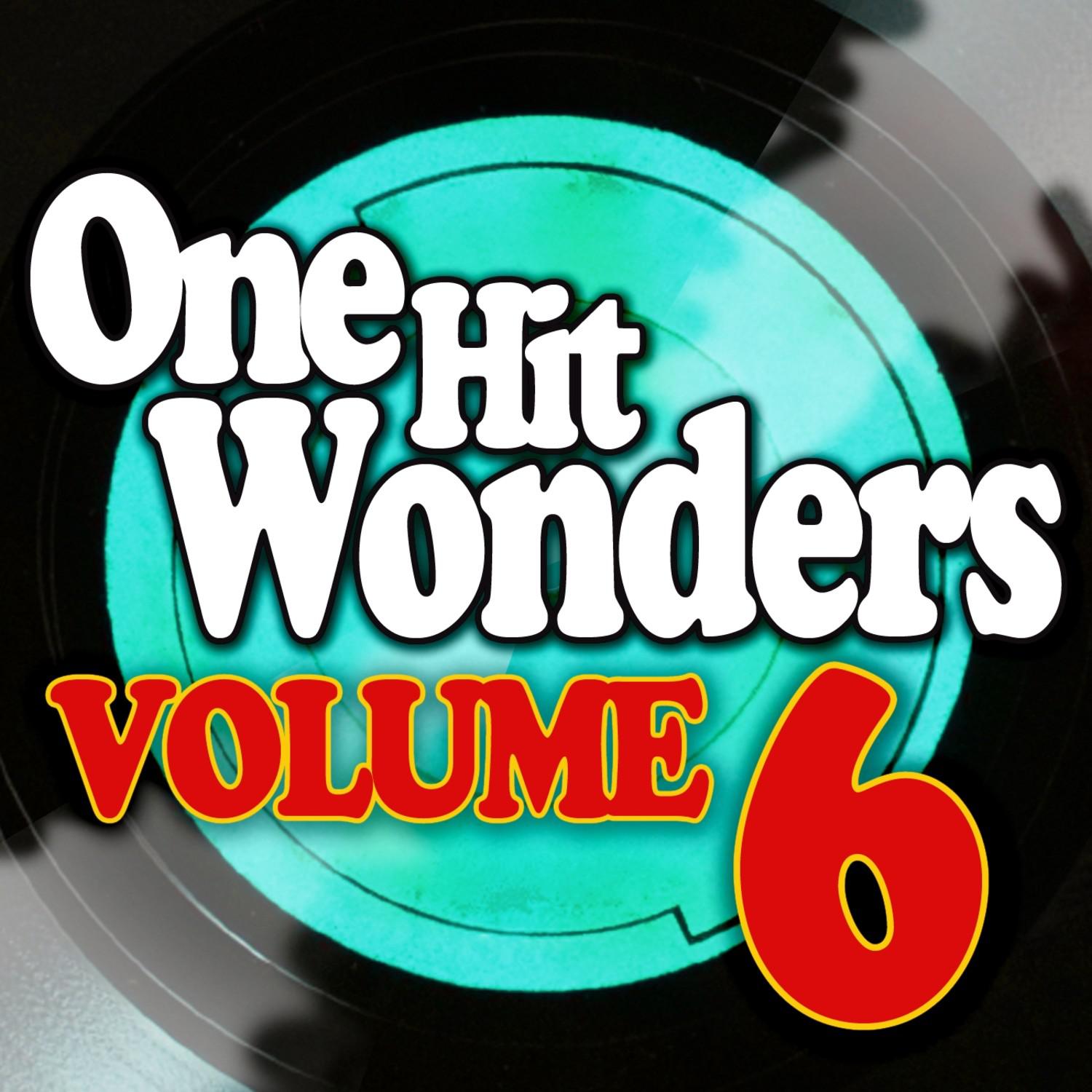 One Hit Wonders - Vol. 6