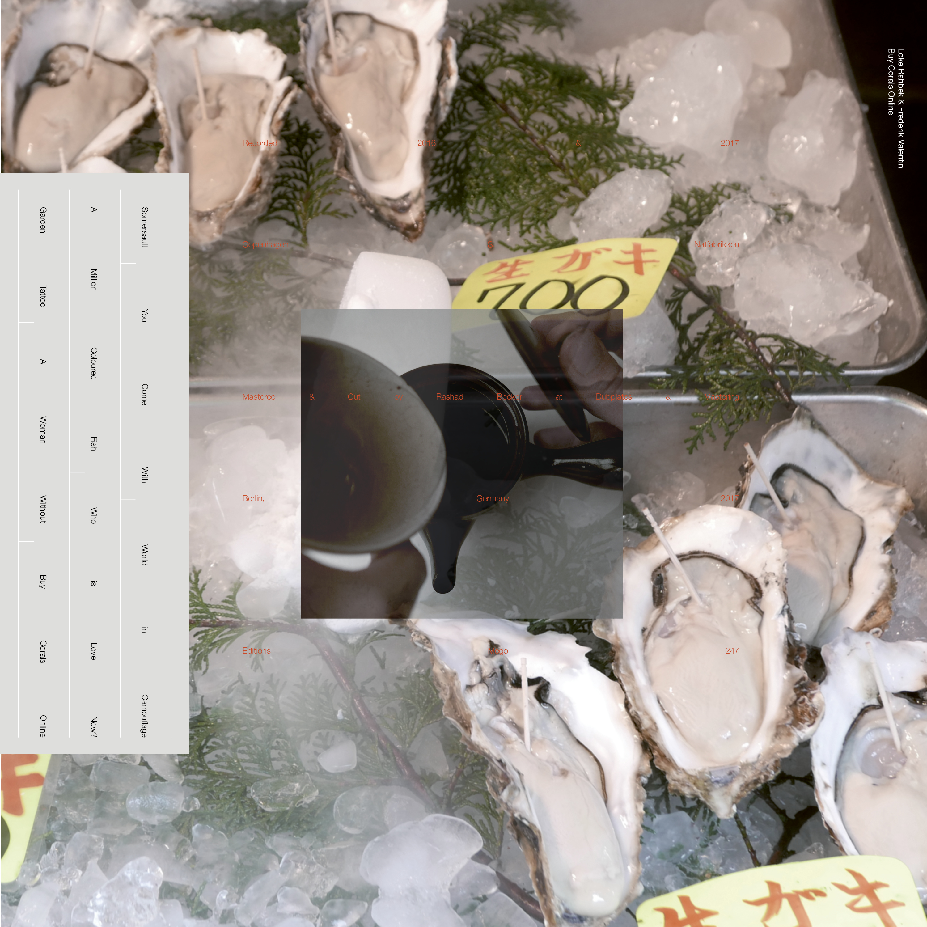 A Million Coloured Fish