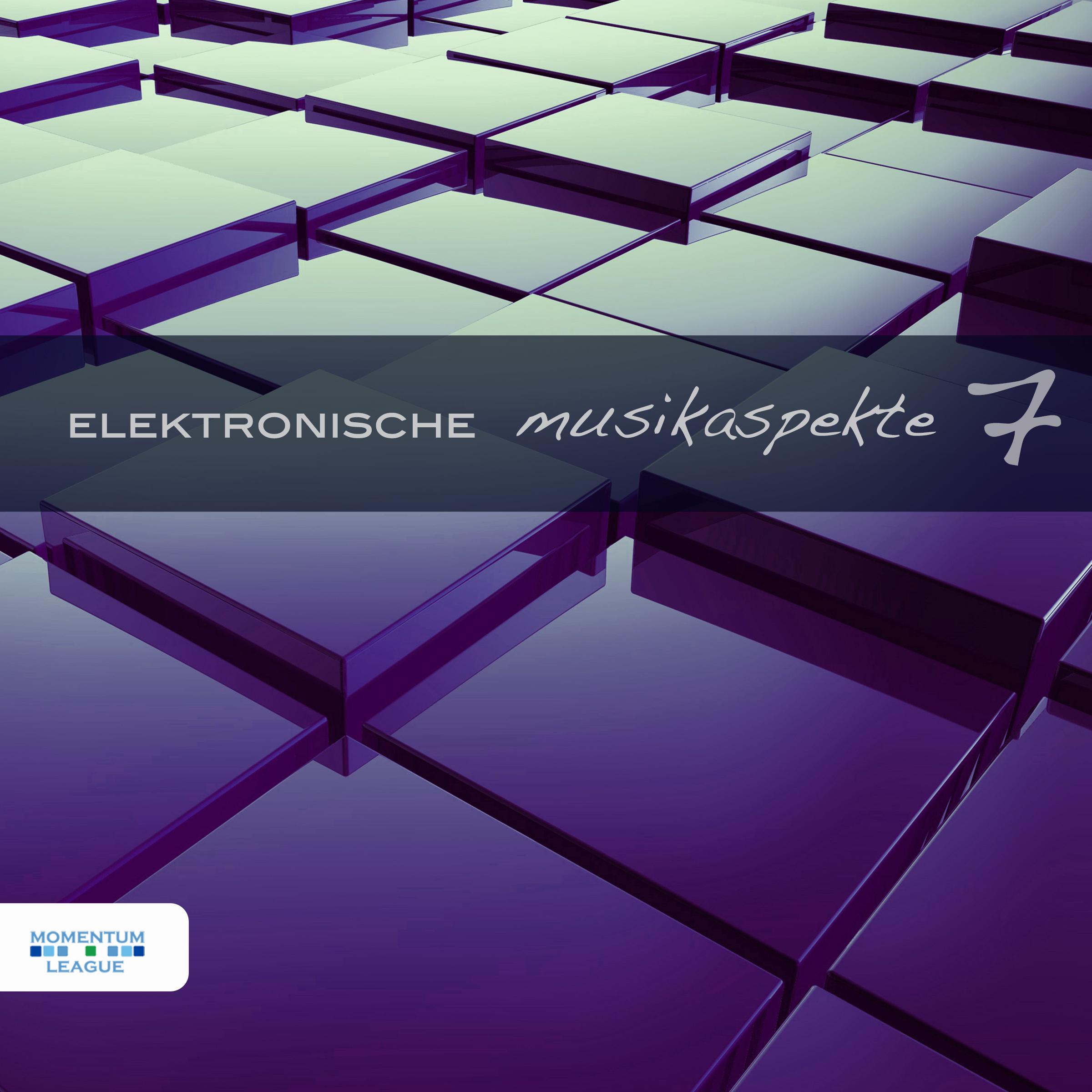 Elektronische Musikaspekte, Vol. 7