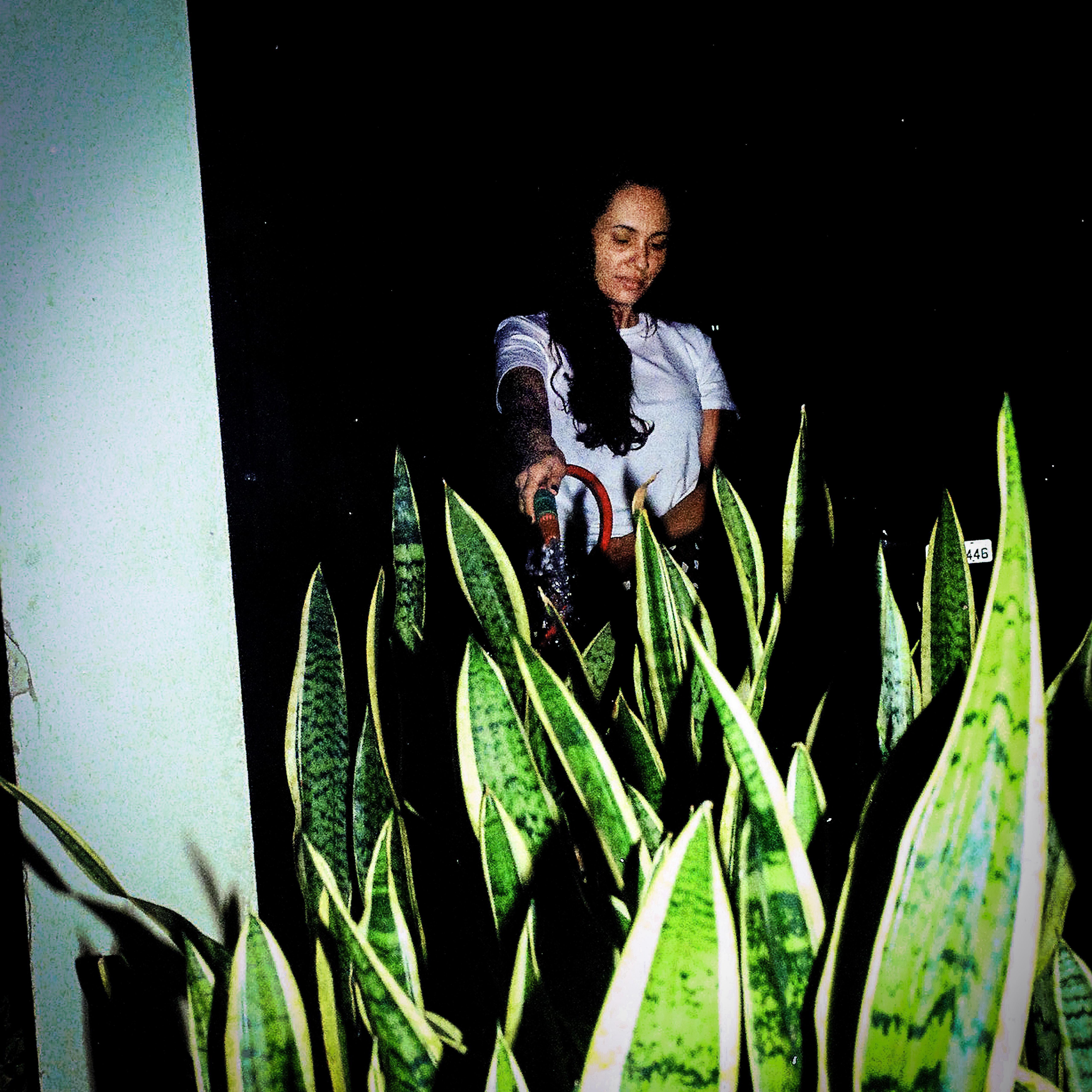 Os Dias S o Constru es e Seus Frutos S o Perenes