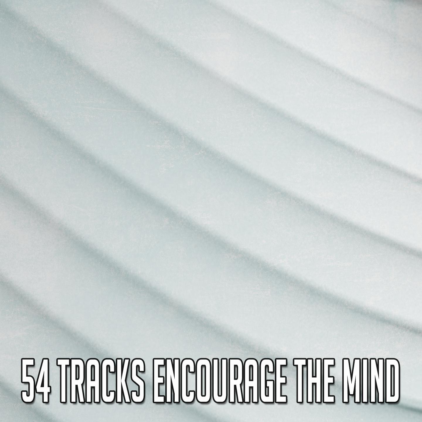 54 Tracks Encourage the Mind
